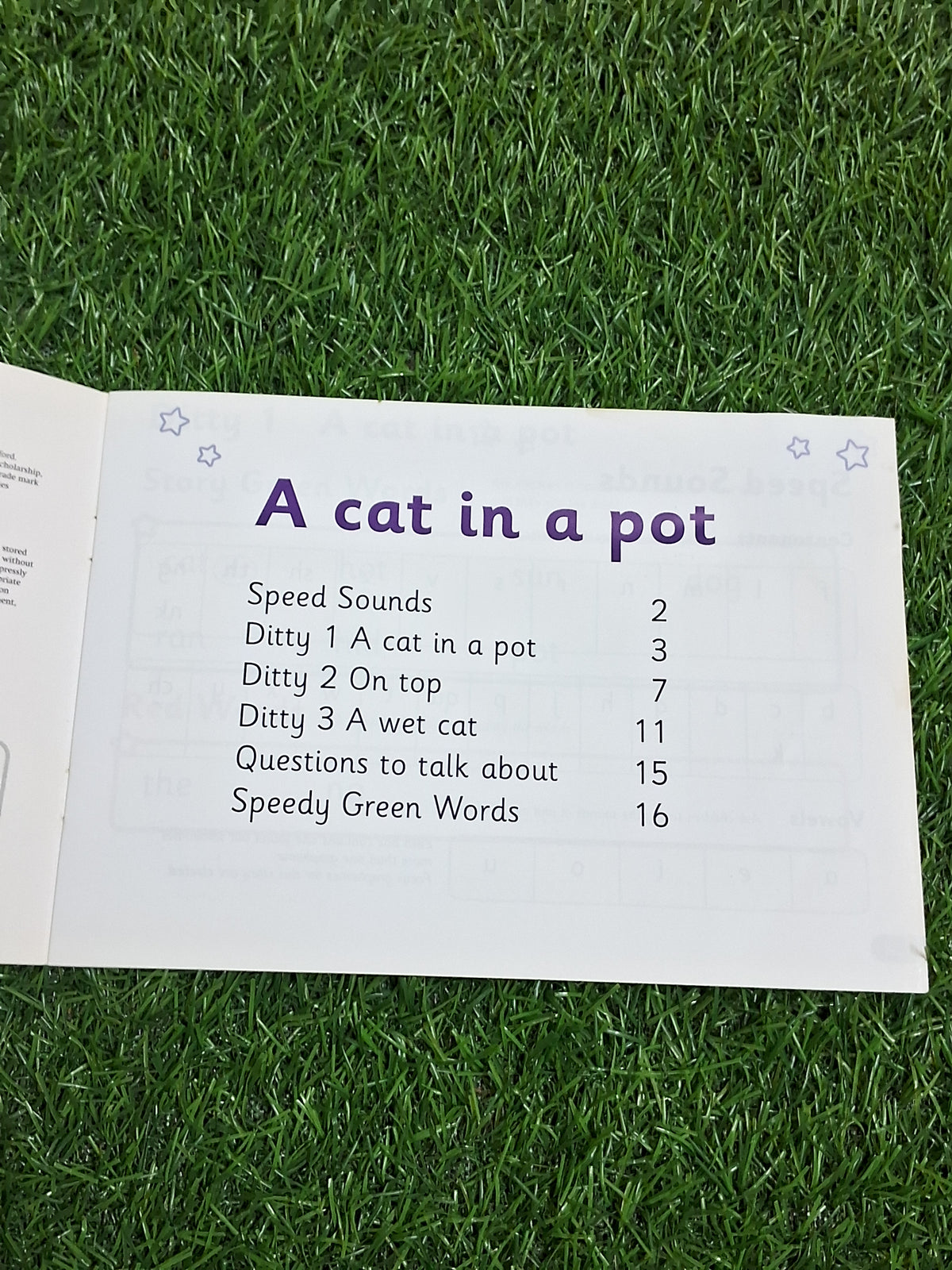 Phonics - A Cat in a Pot -  Very Good Condition Paperback