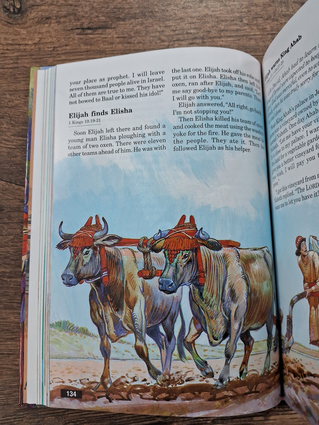 The Bible for Children