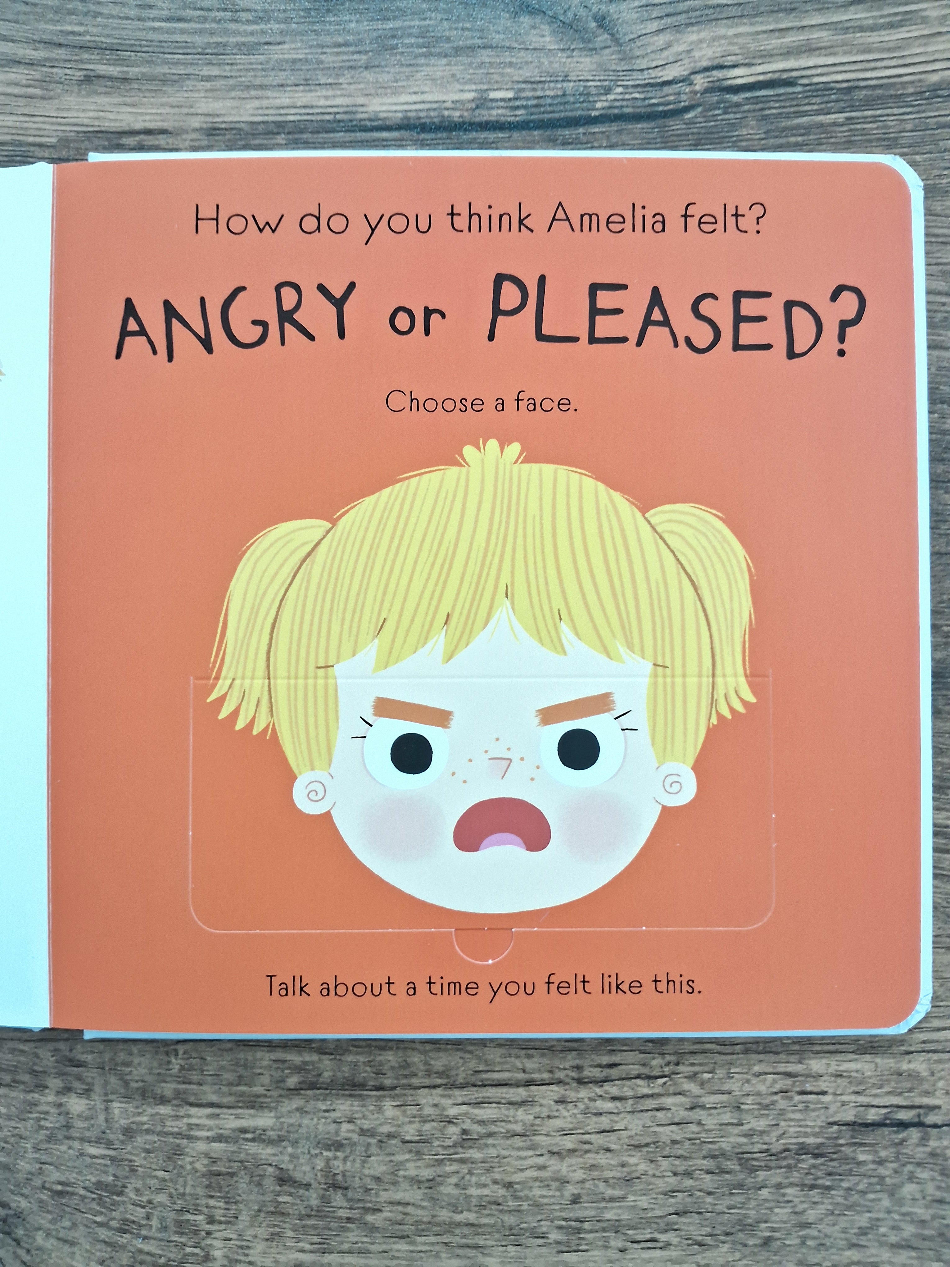 Find Out About : Feelings : Flap Book