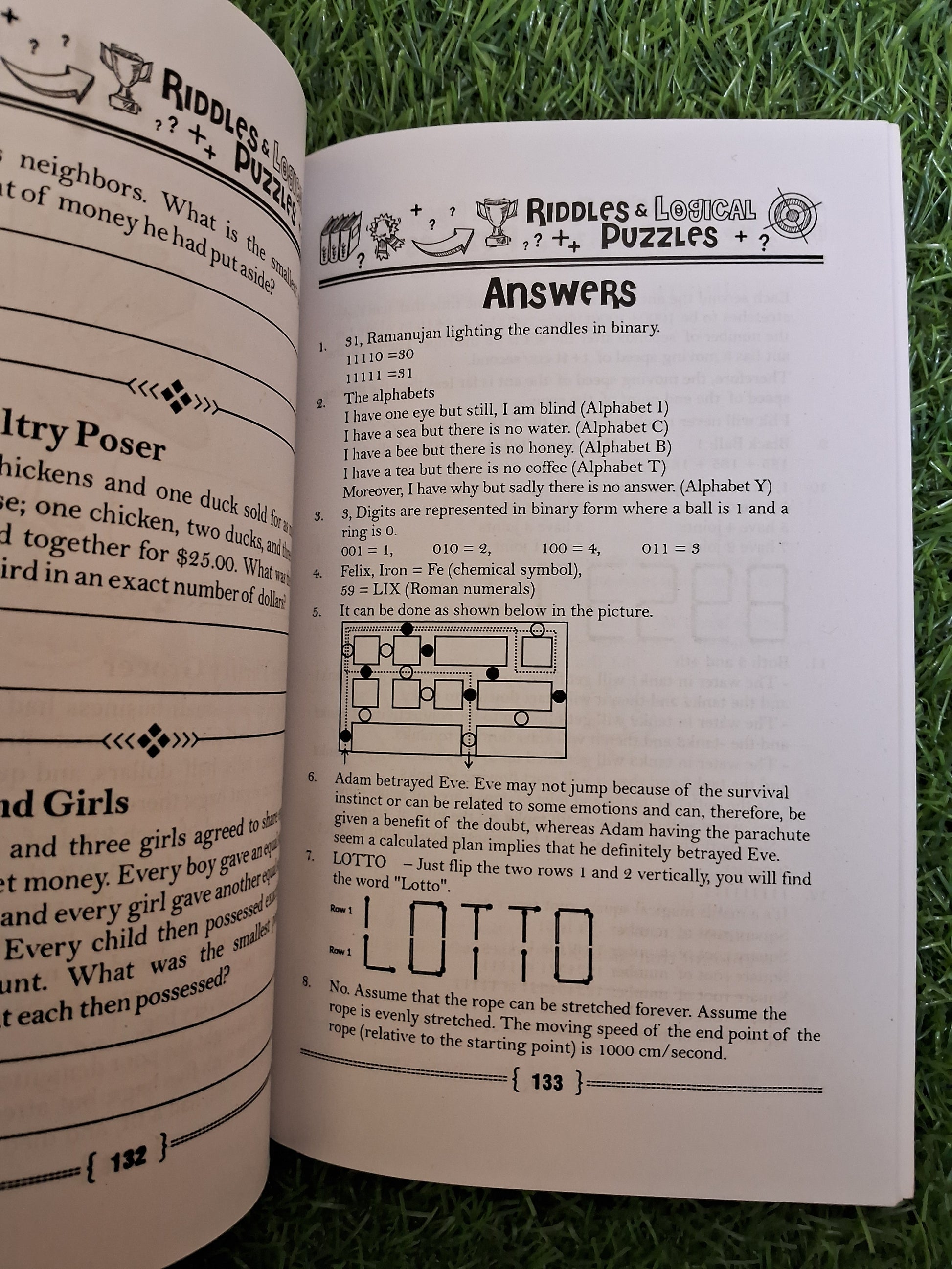 Riddles & logical puzzles - Challenging Books