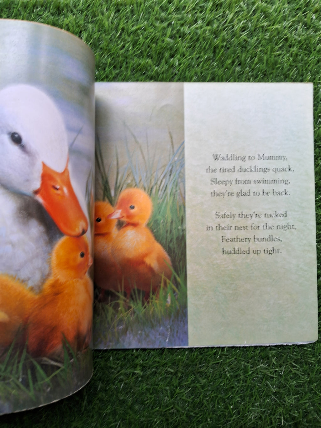 I love you sleepy head - Average Condition Paperback