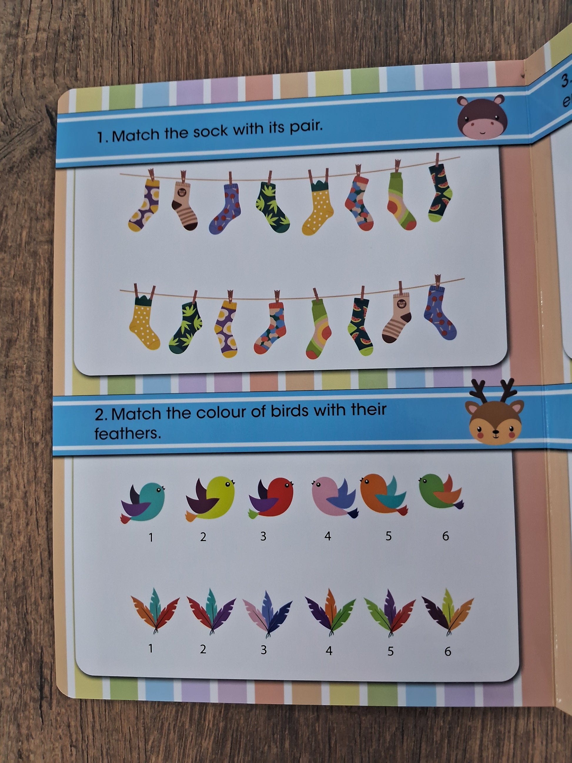 Pair Them Together - Board Book