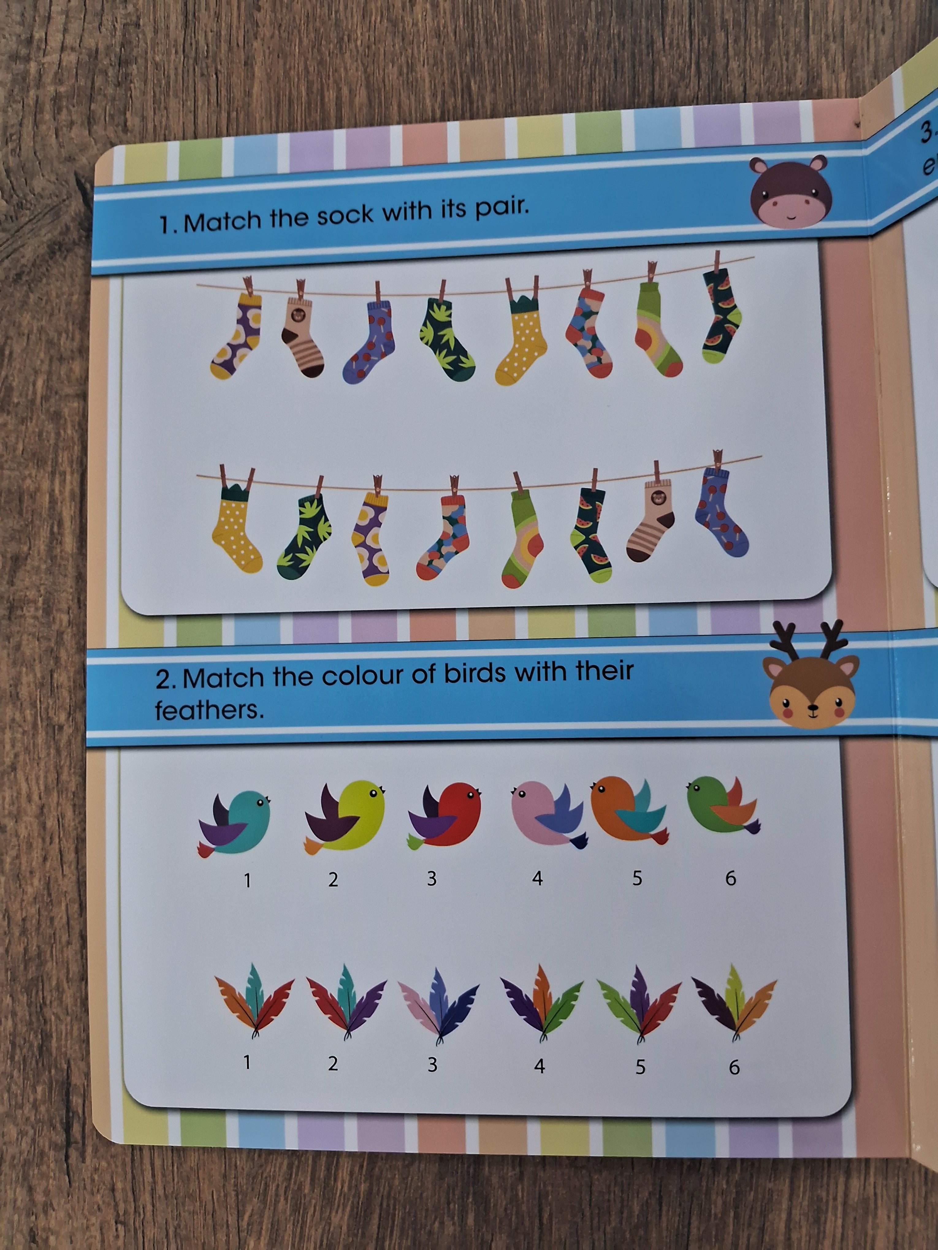 Pair Them Together - Board Book