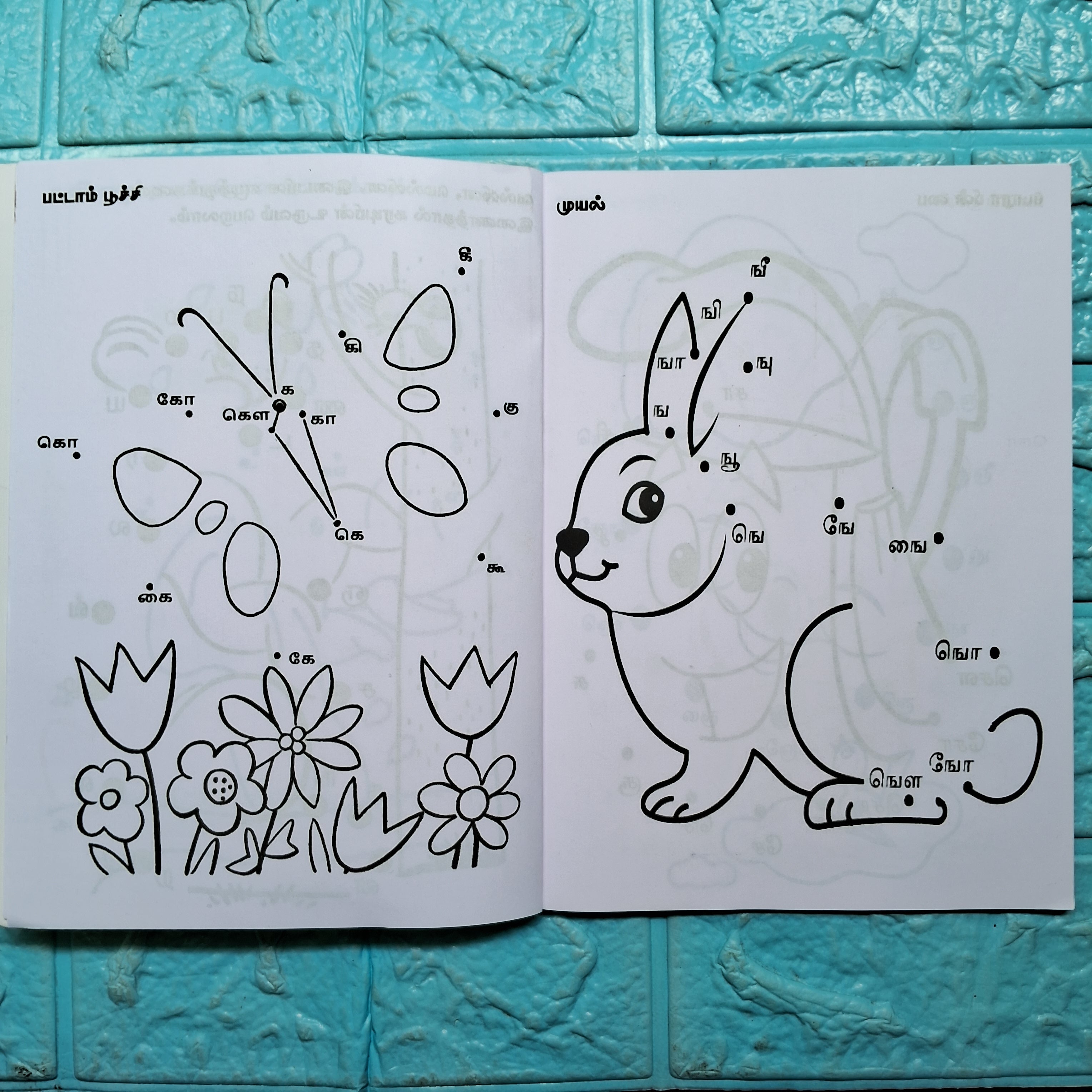 டாட் புக் - Dot Book