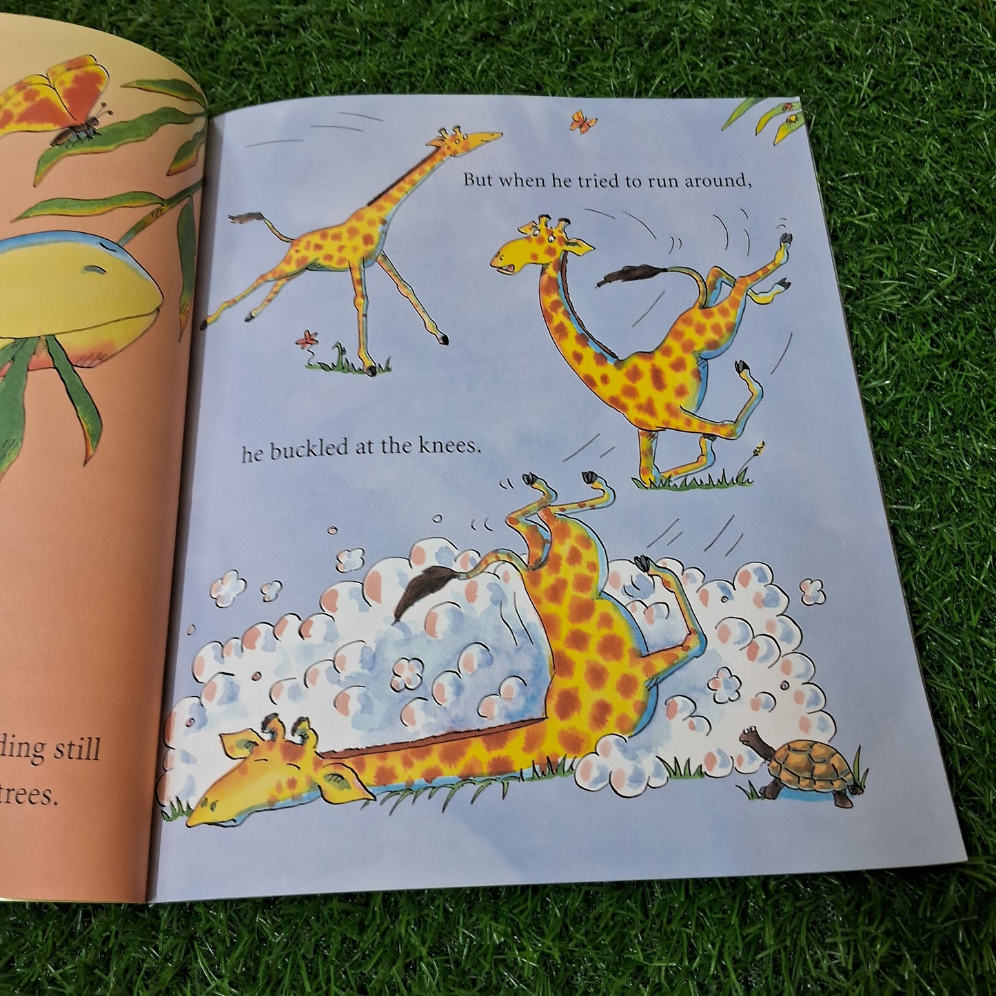Giraffe can't dance - Very Good Condition Paperback