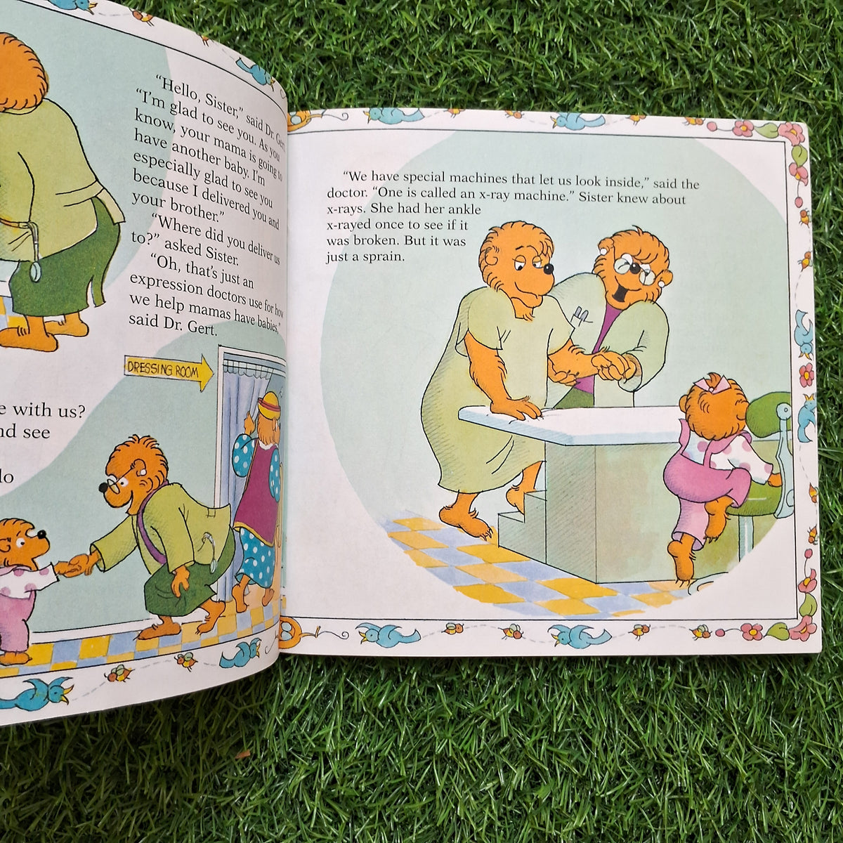 The Birds the bees and the berenstain bears - Good Condition Paperback