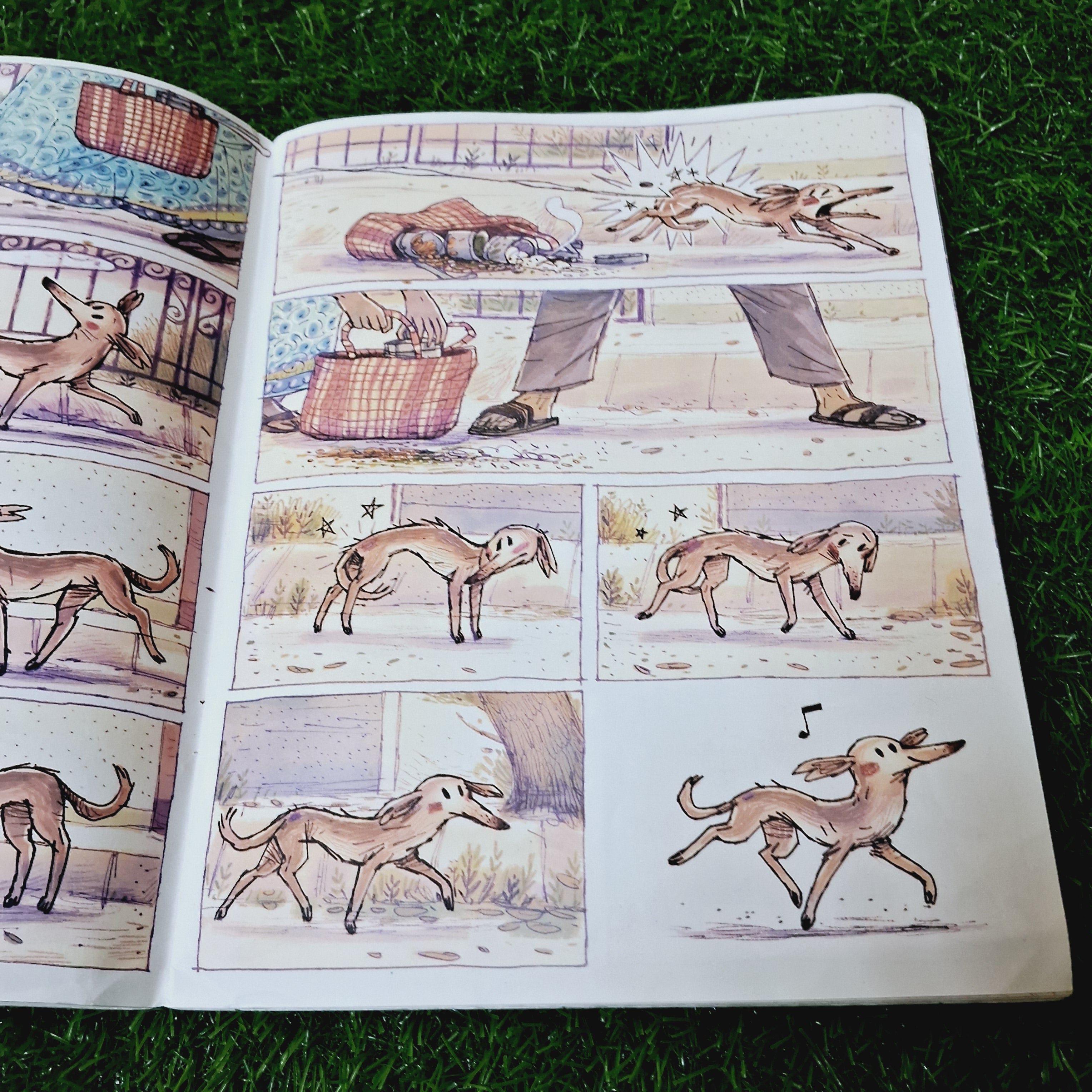 Dugga - Average Condition Paperback