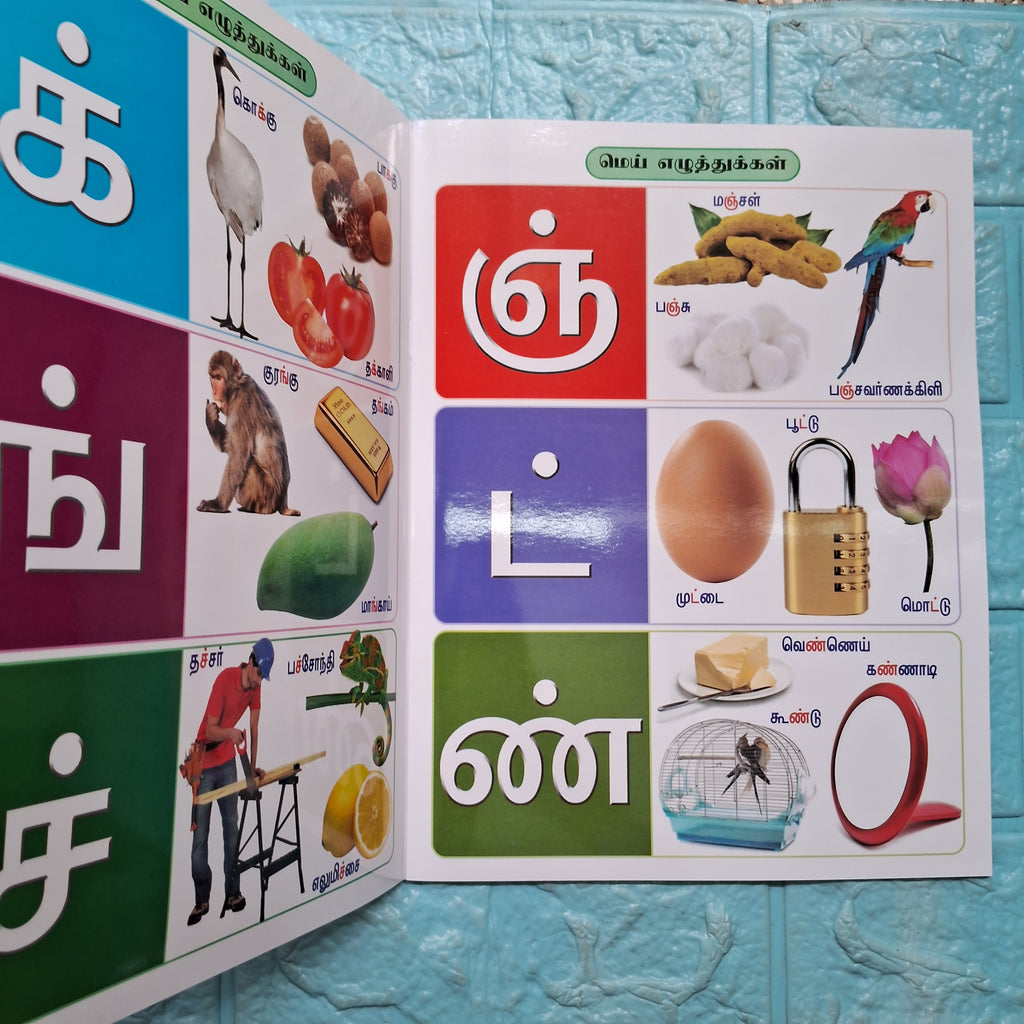 Tamil Arichuvadi - Large NonTearable Book