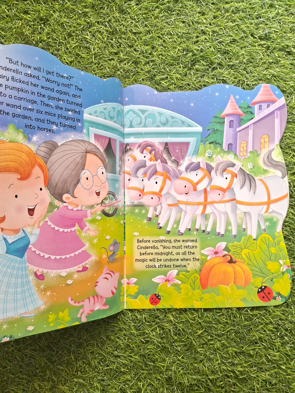 Cinderella Story Book