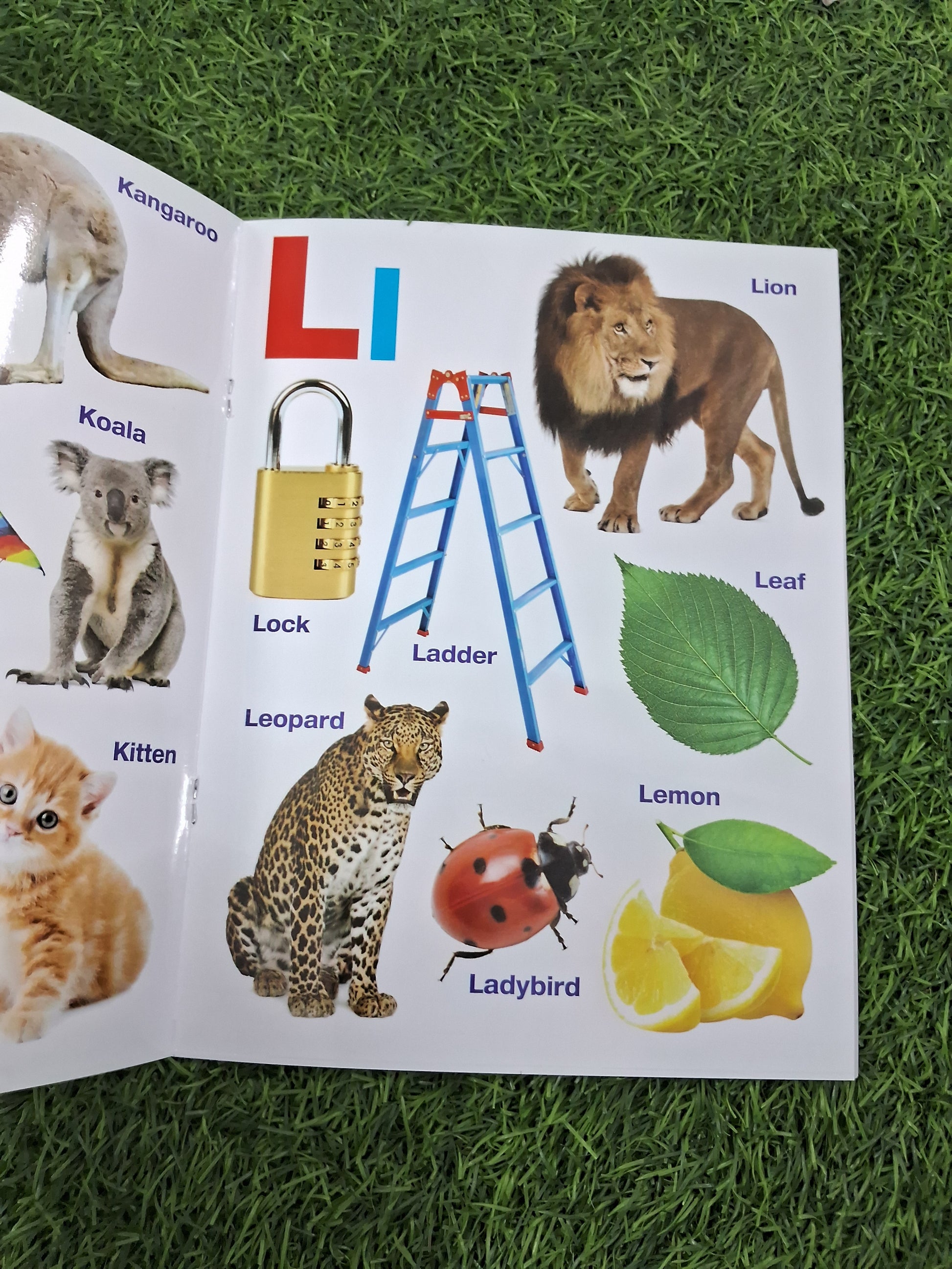 MY FIRST BOOK OF ALPHABET - Large Paperback- TearProof