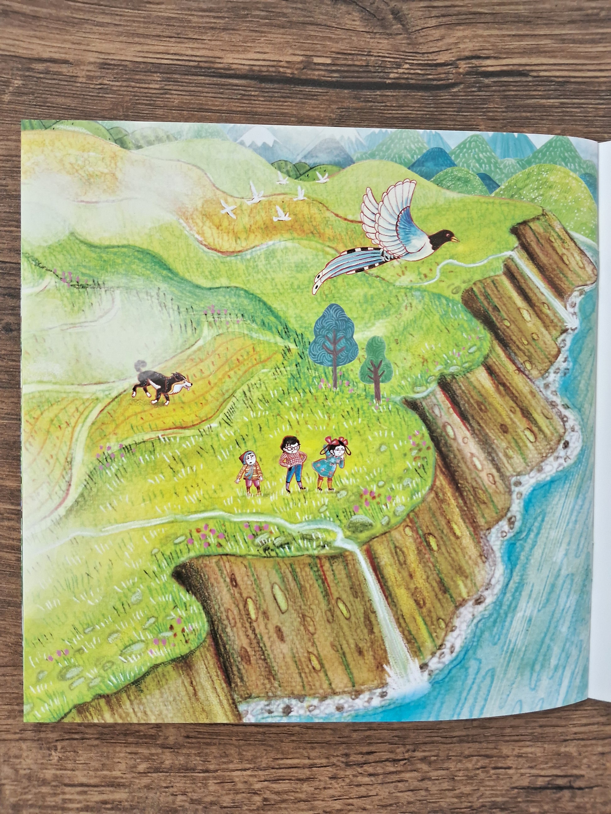 Run! - Wordless Book