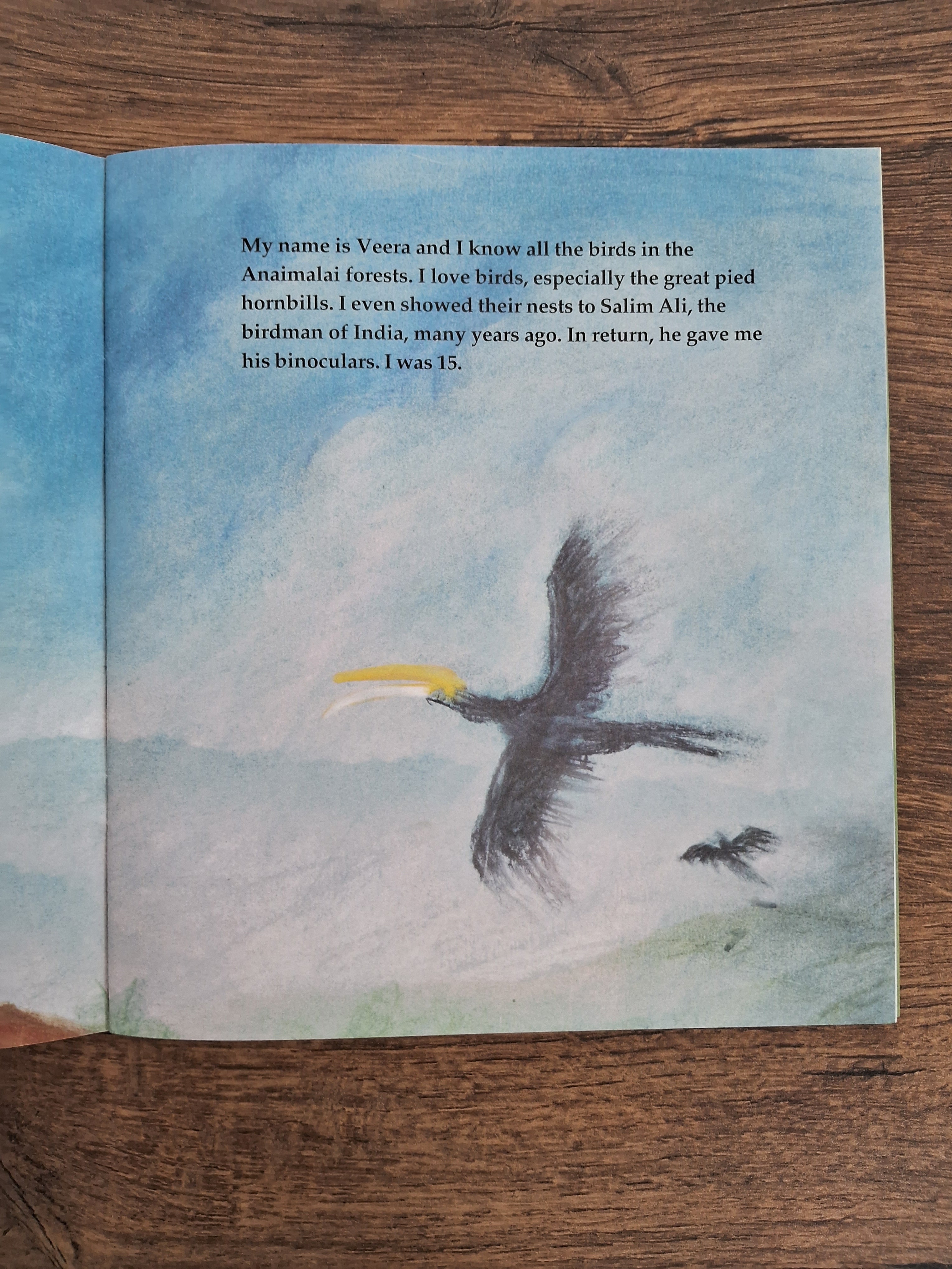 Black Panther - English Picture Book
