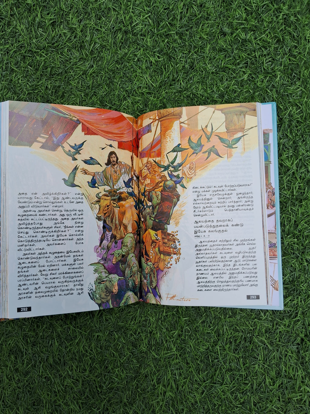 இளைஞர் விவிலியம்