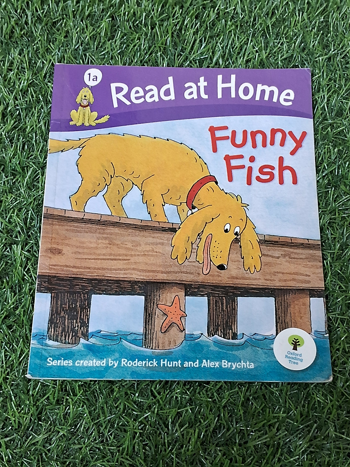 Read at Home - Funny Fish -  Very Good Condition Paperback