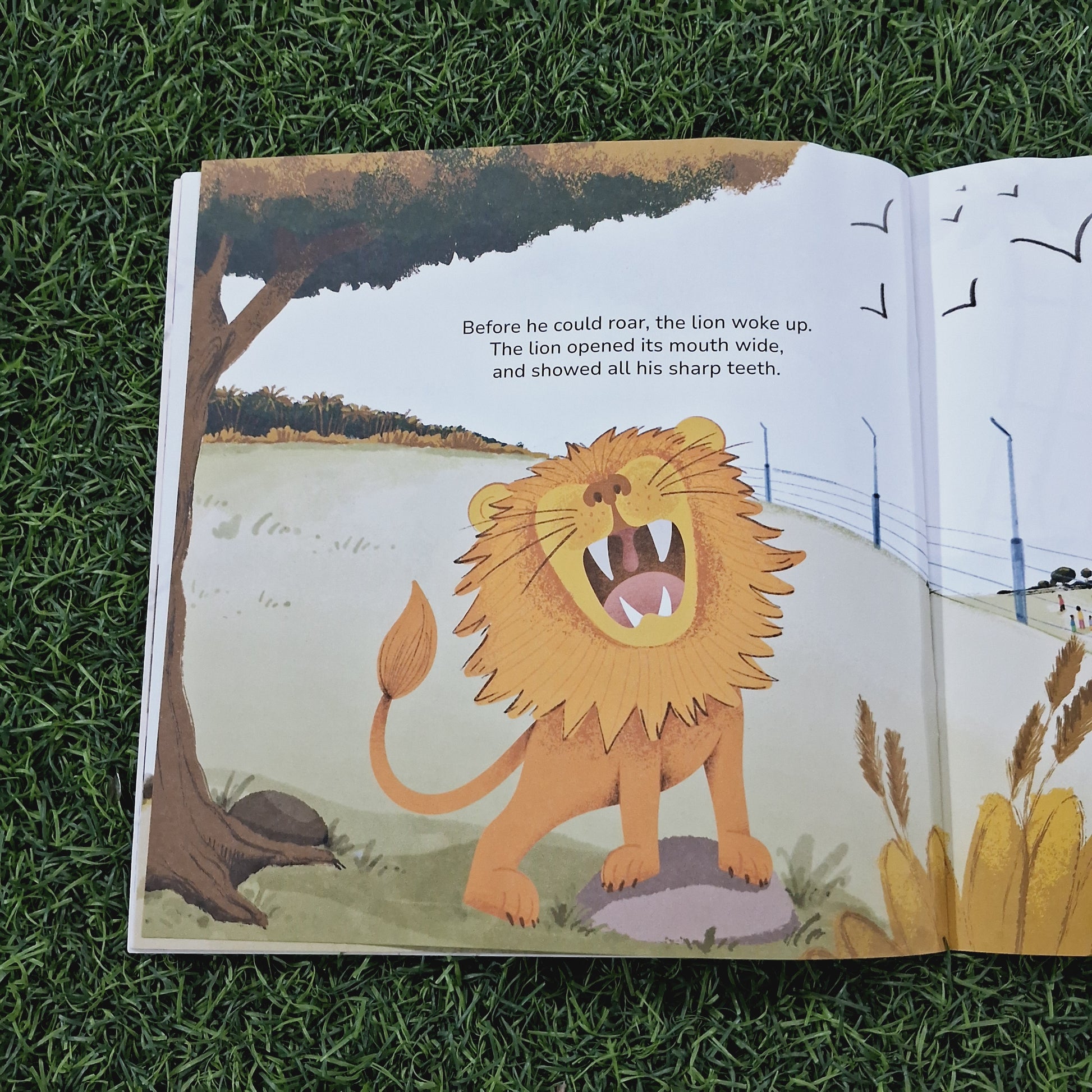 All for a Roar