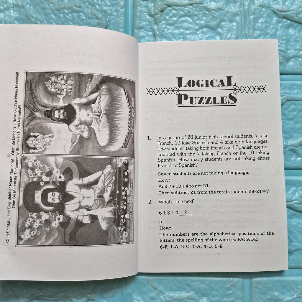 Logical Puzzles