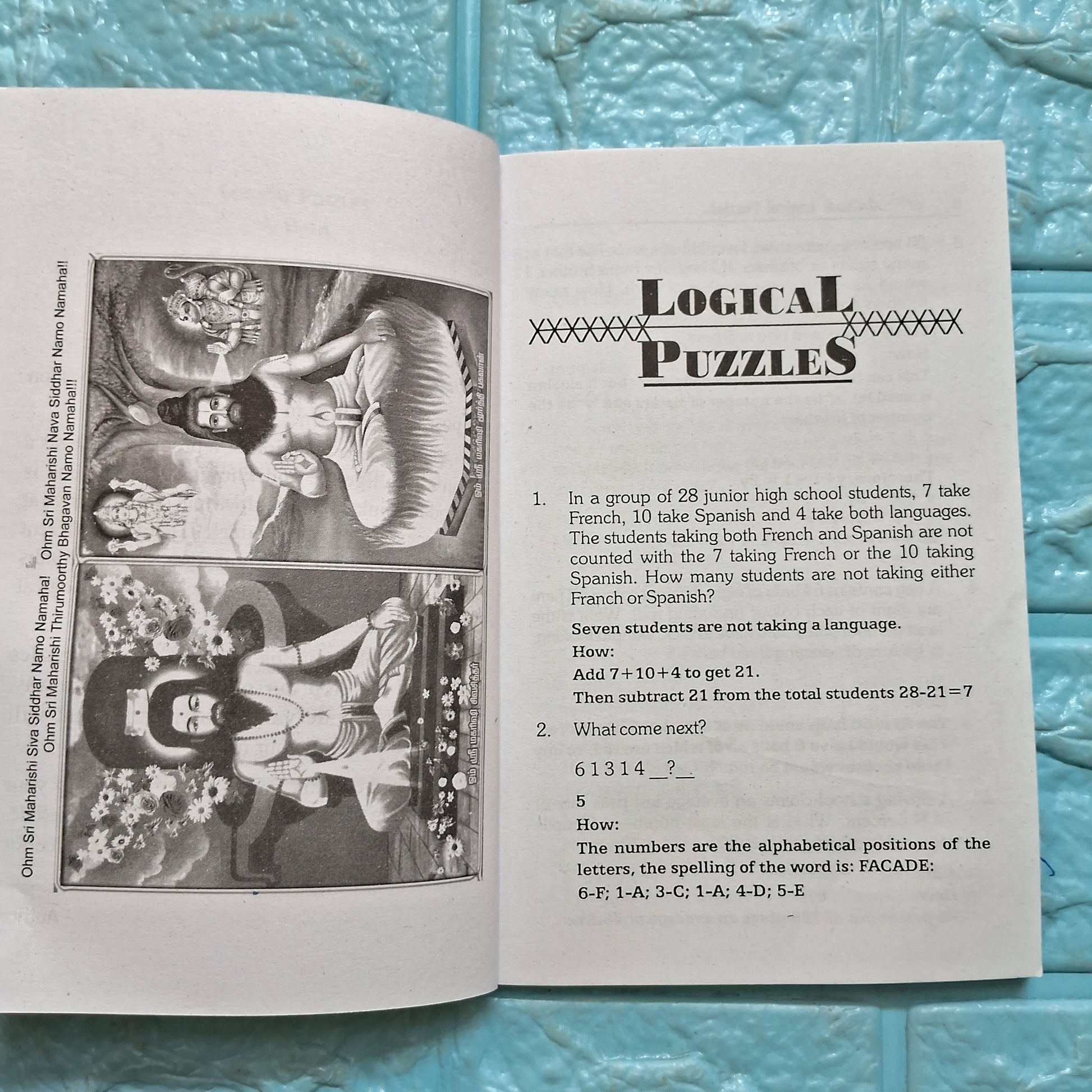 Logical Puzzles