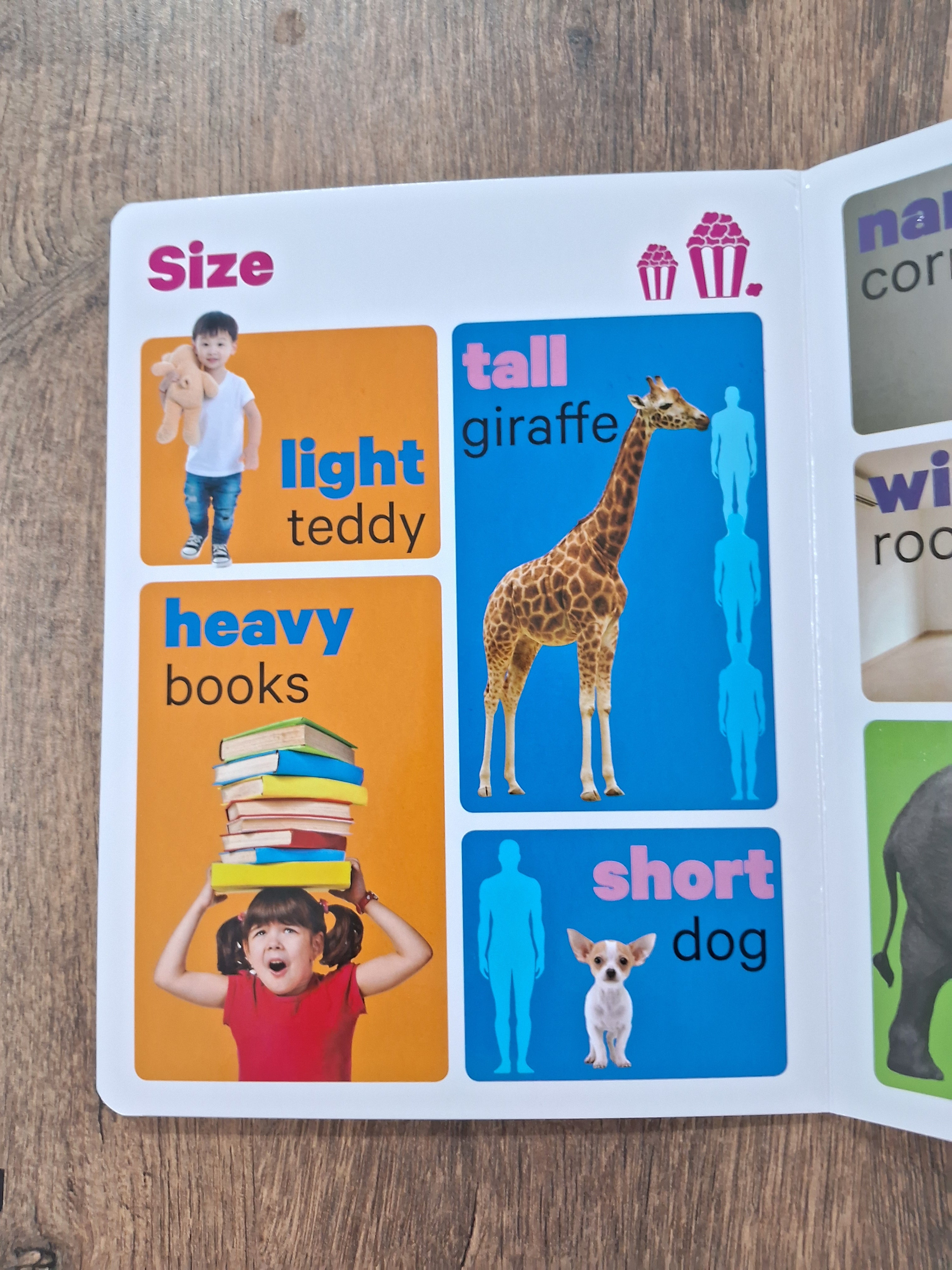 Shapes, Sizes & Opposites - Big Board Book