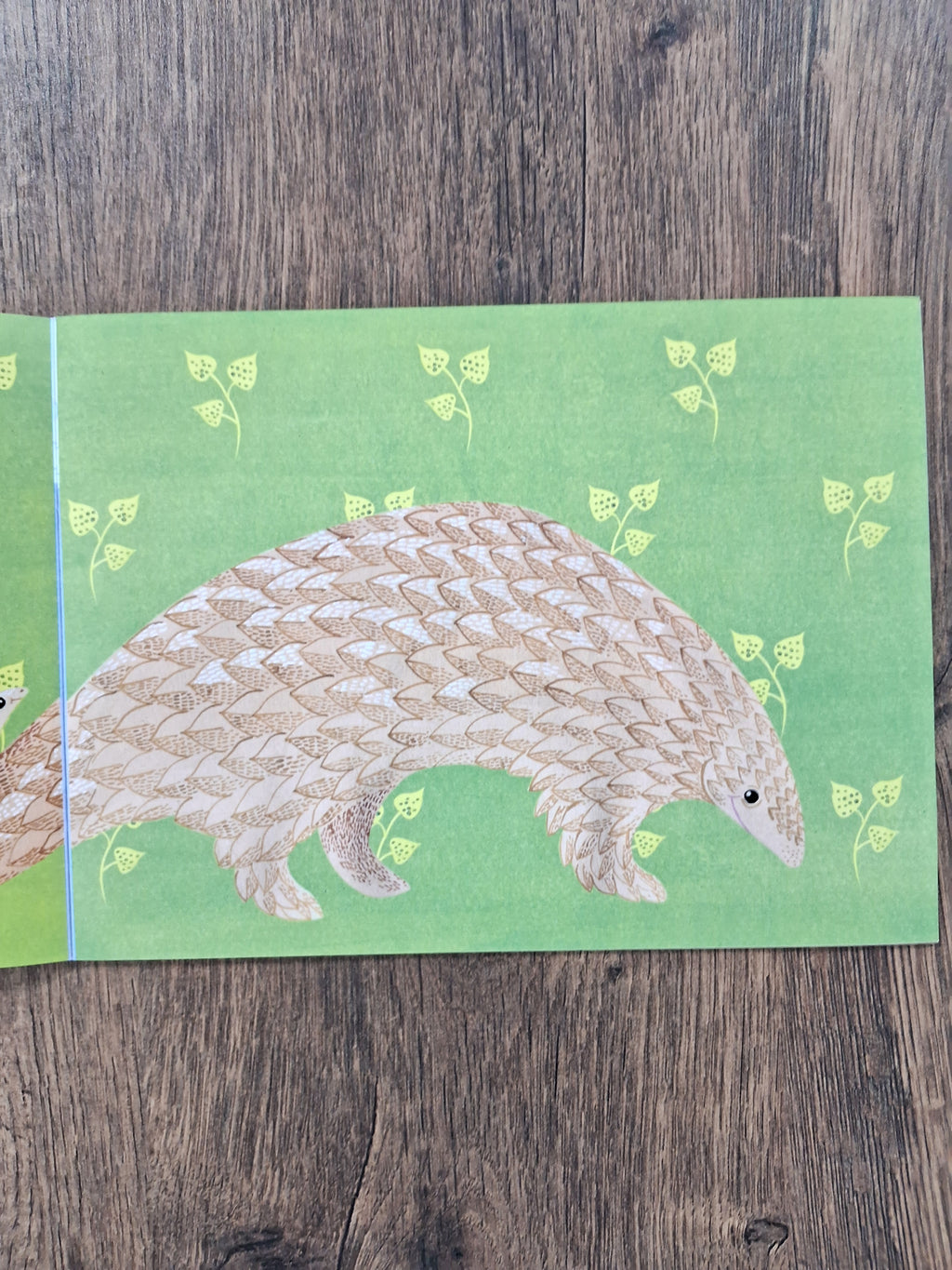 CARRY ME, MAMA! - English Tamil Bilingual Picture Book for Kids