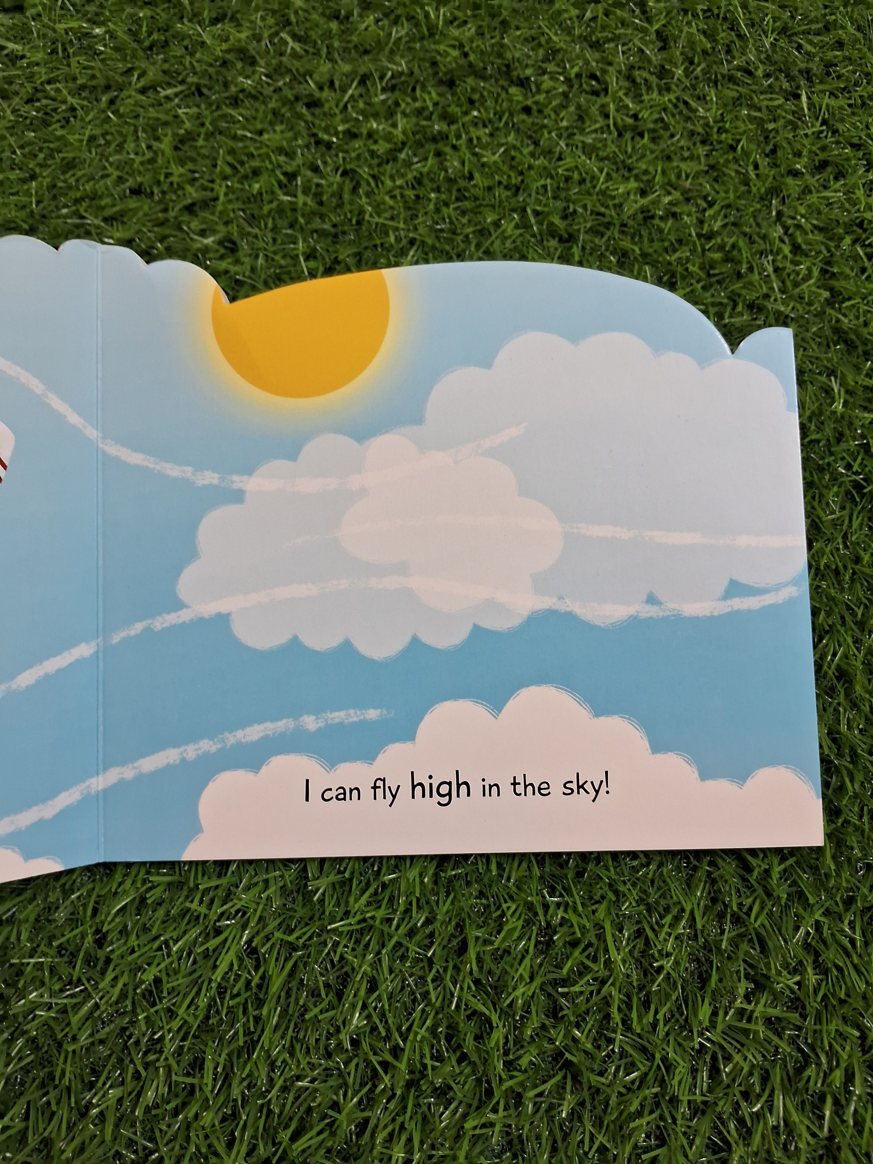 Aircraft - Things That Move - Board Book