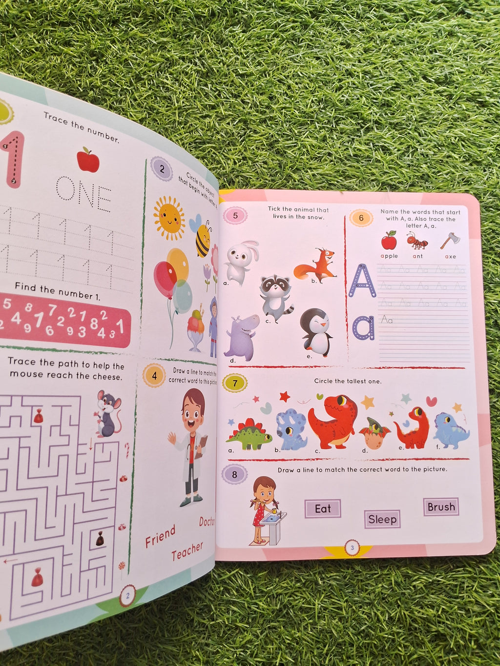 Brain Booster Activity Age 3+