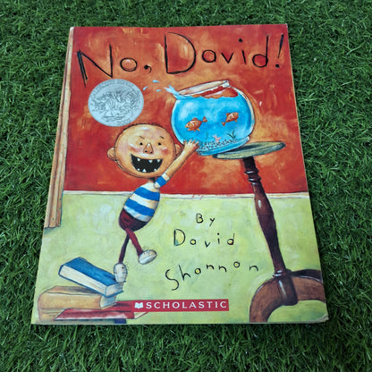 No David - Very Good Condition Paperback