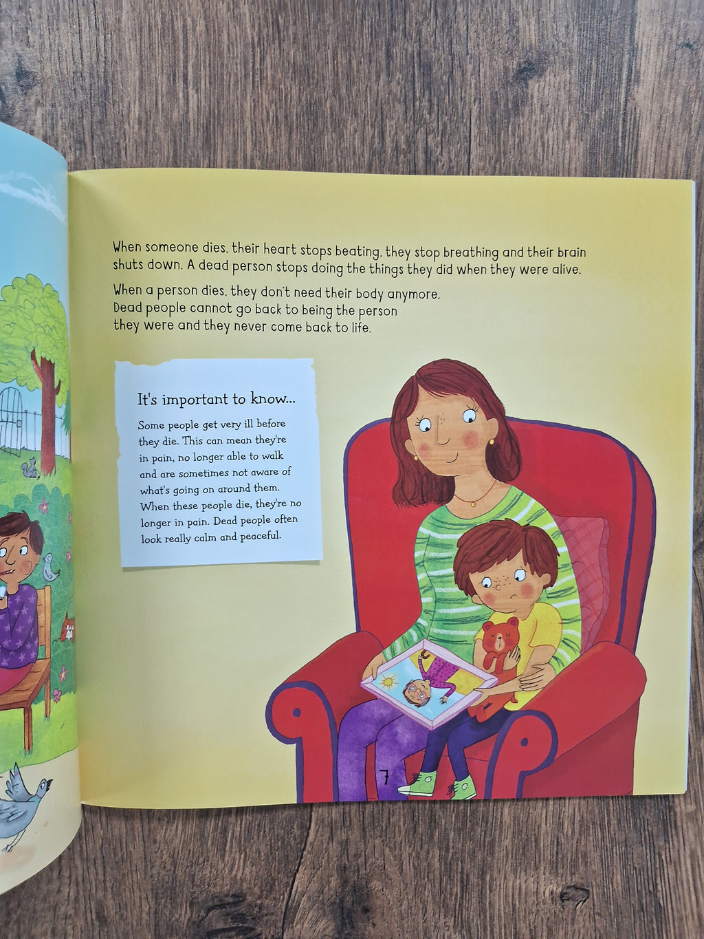 When Someone Dies - A Let's Talk Book