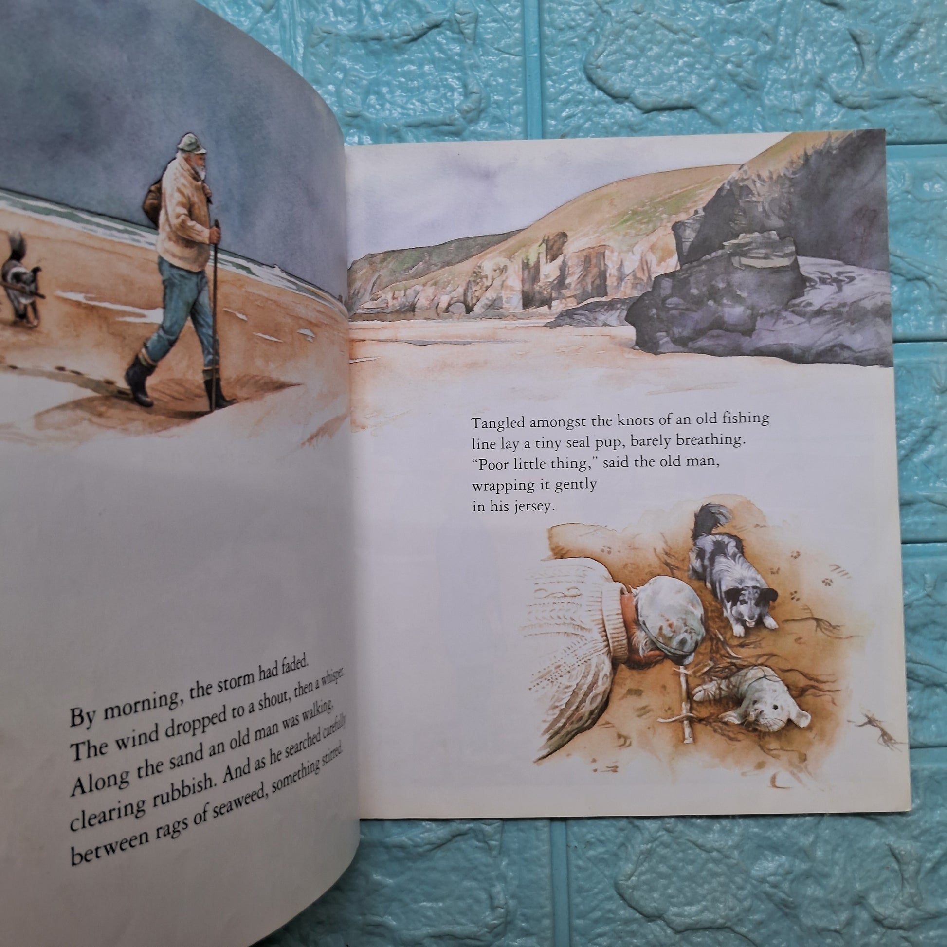 The Storm Seal - Good Condition Paperback