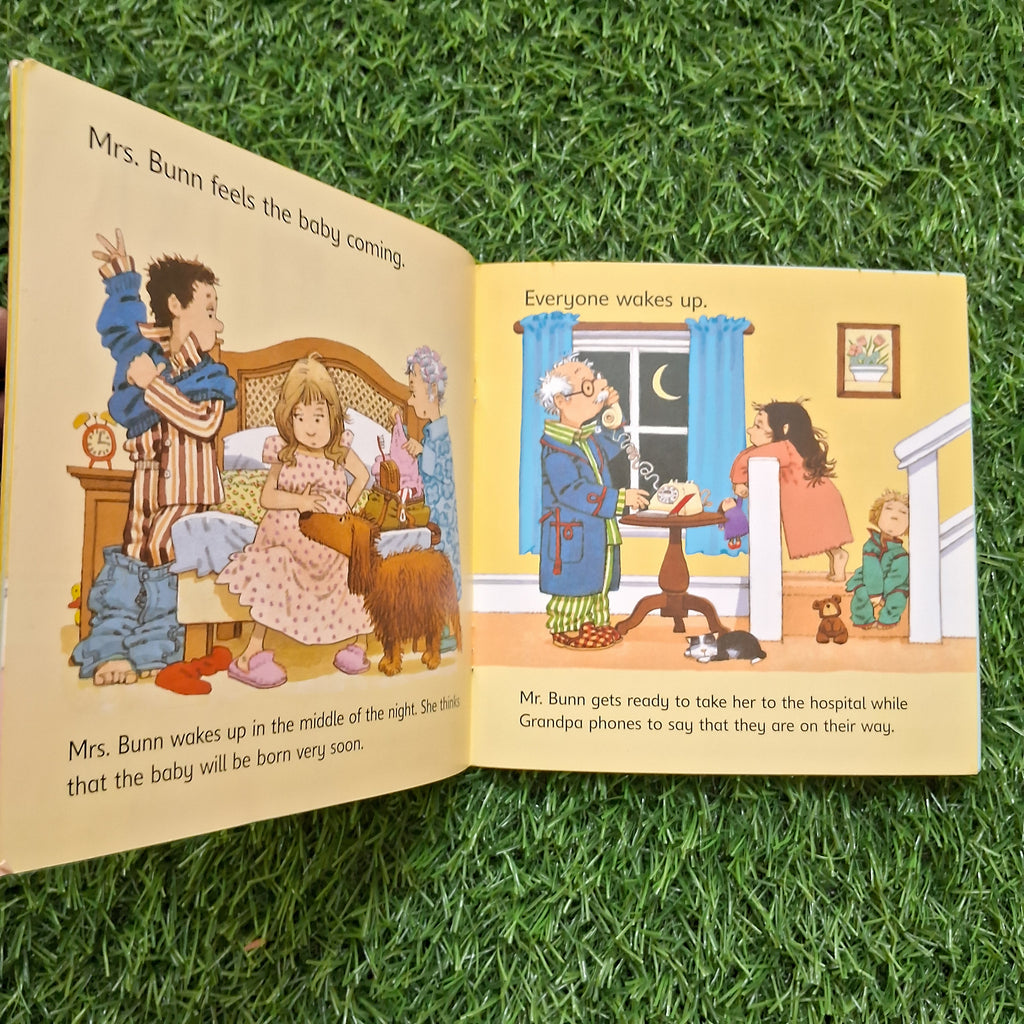 The new baby - Very Good Condition Paperback