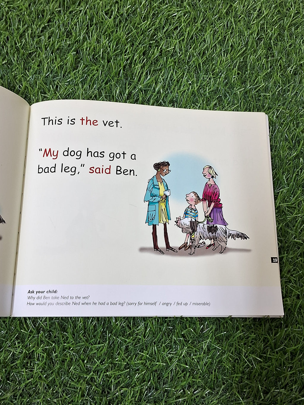 Phonics - On the Bus and My Dog Ned - 2 stories in 1 -  Excellent Condition Paperback