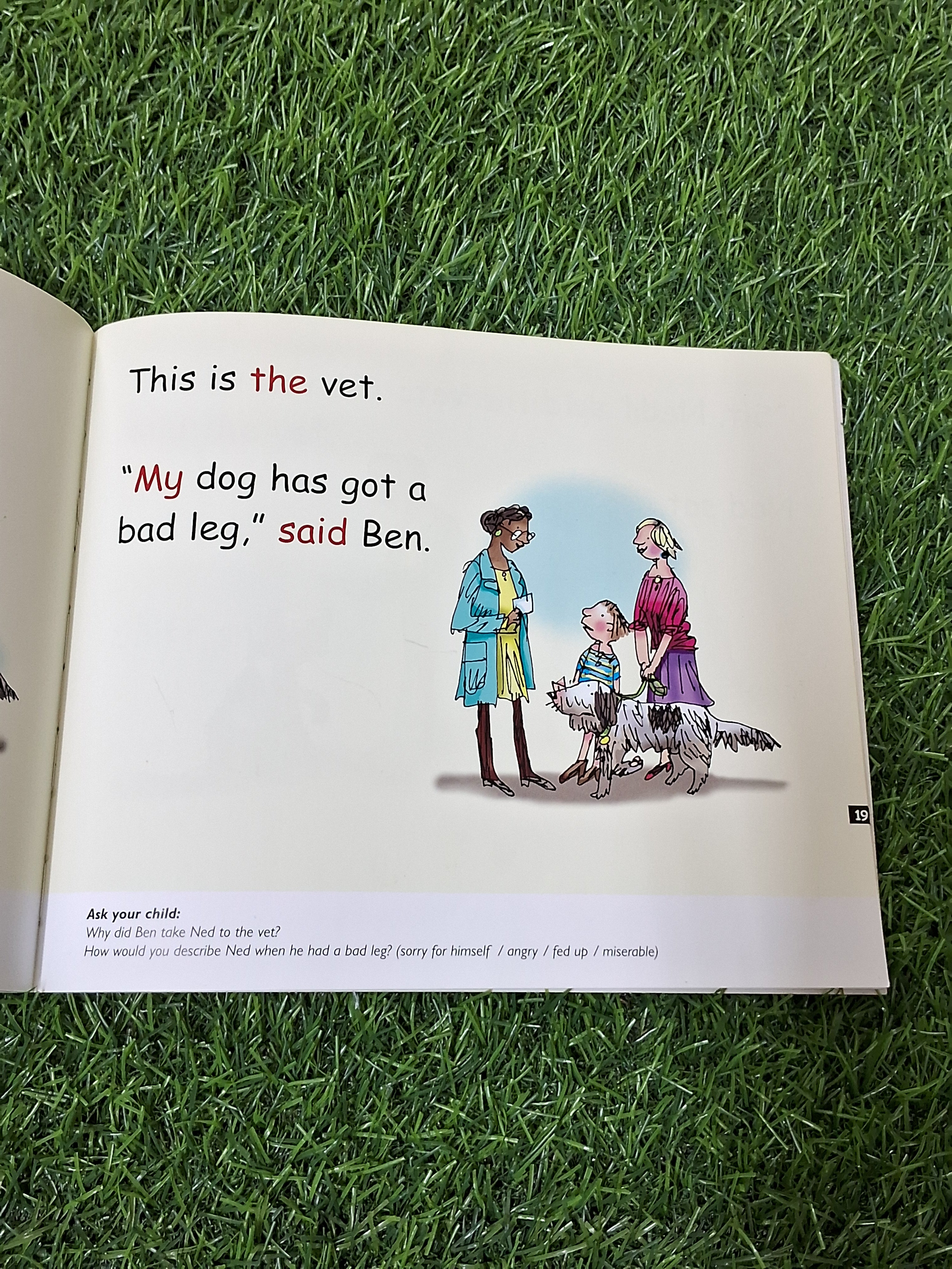 Phonics - On the Bus and My Dog Ned - 2 stories in 1 -  Excellent Condition Paperback