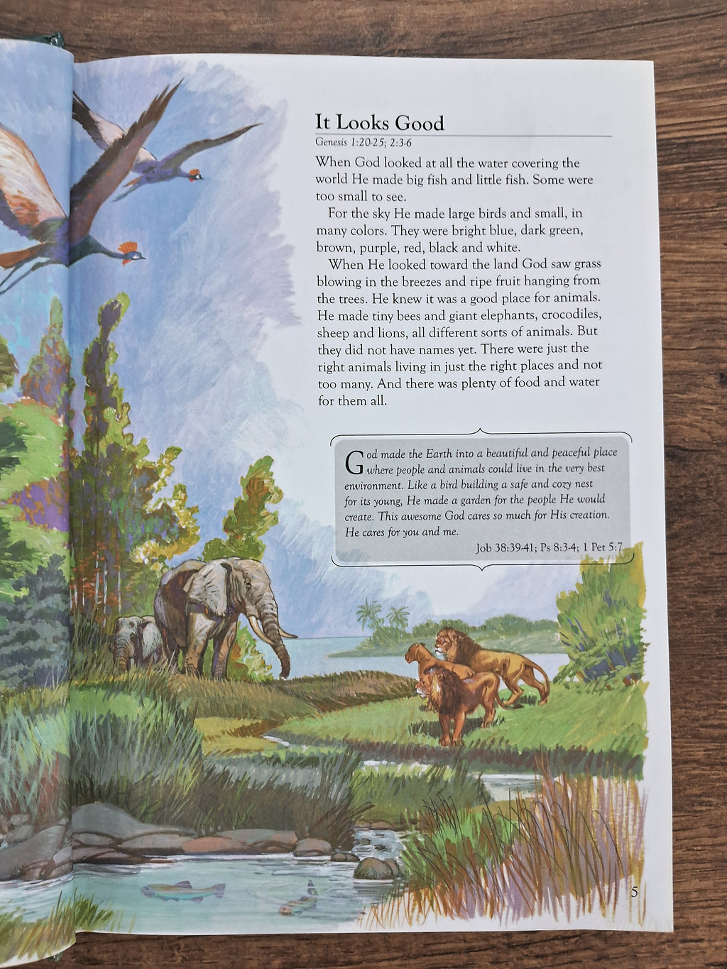 The Devotional Children's Bible