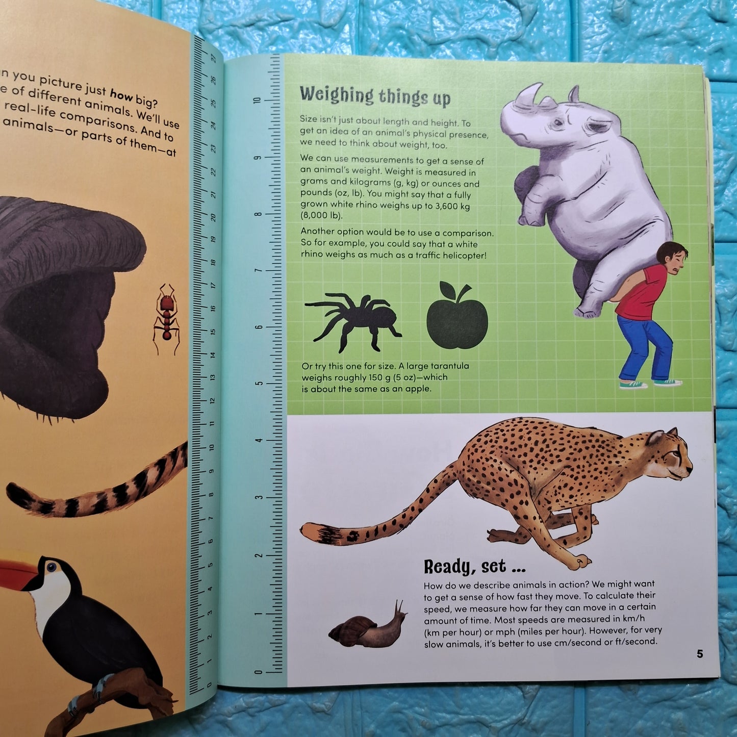 How Big ? Animals