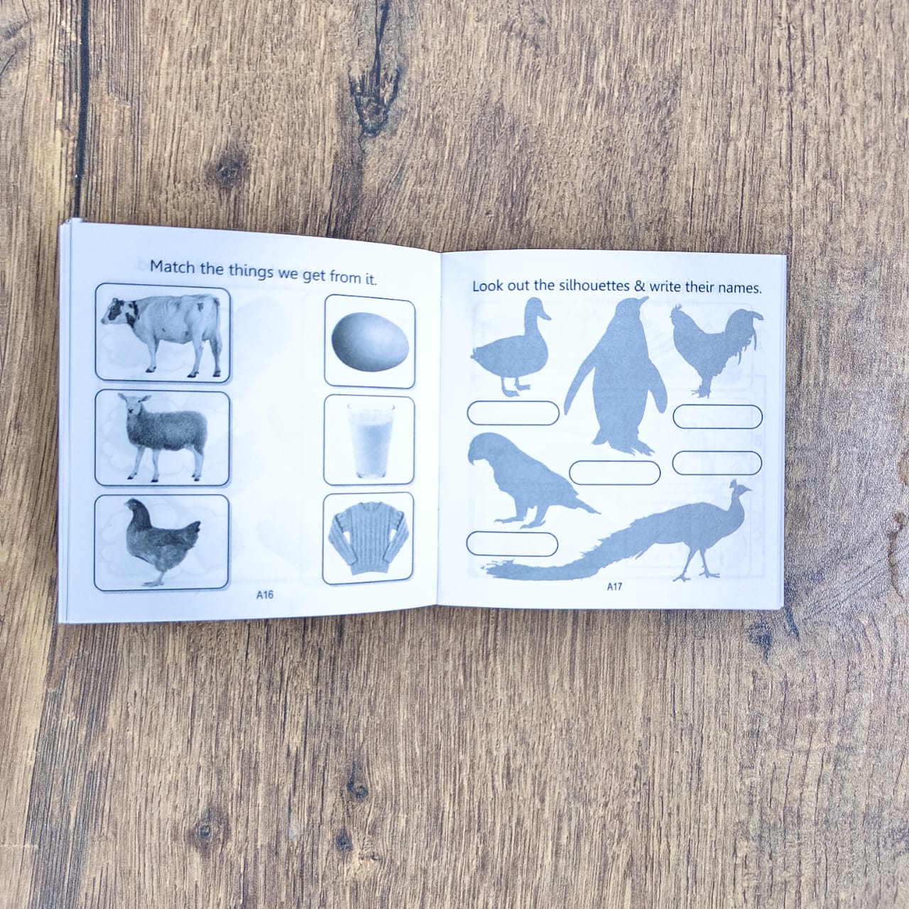 My Little Book of Activities - 4 Books Combo