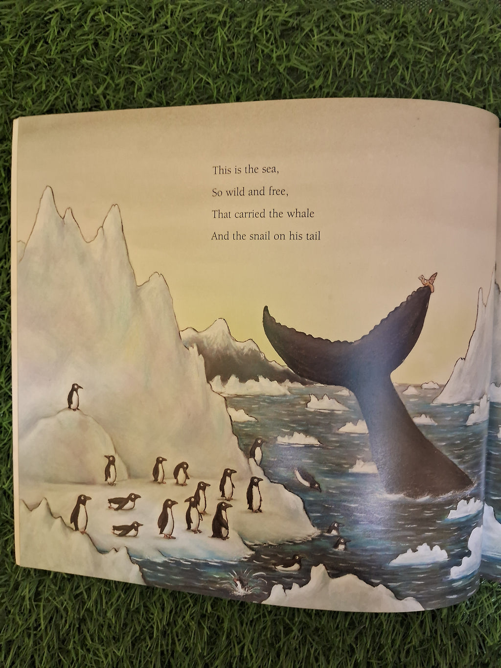 Book of THE SNAIL AND THE WHALE - Excellent Condition Paperback