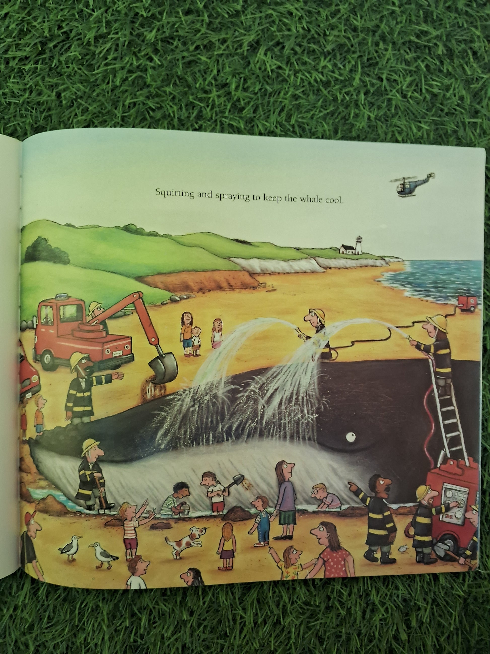 Book of THE SNAIL AND THE WHALE - Excellent Condition Paperback