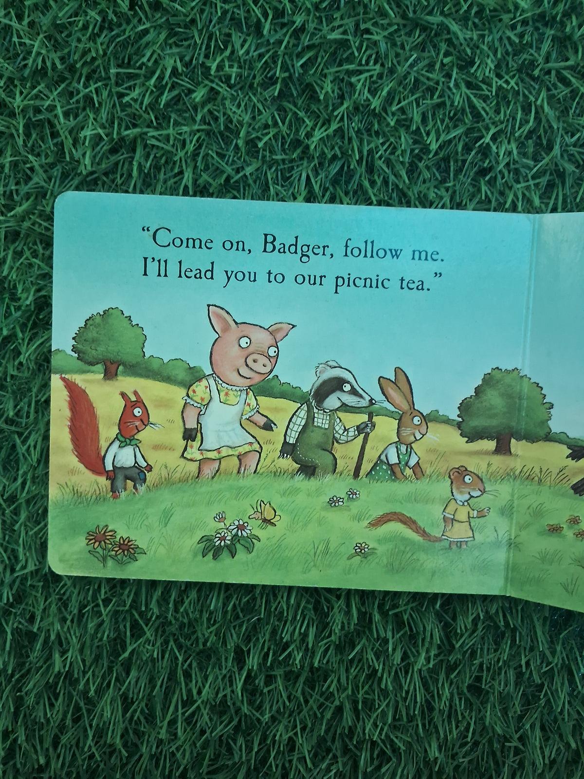 TALES FROM ACORN WOOD - HIDE AND SEEK PIG -  Very Good Condition Board Book