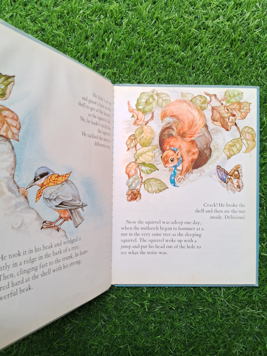 My Nut I think & pins and needles -  Good Condition Hardcover