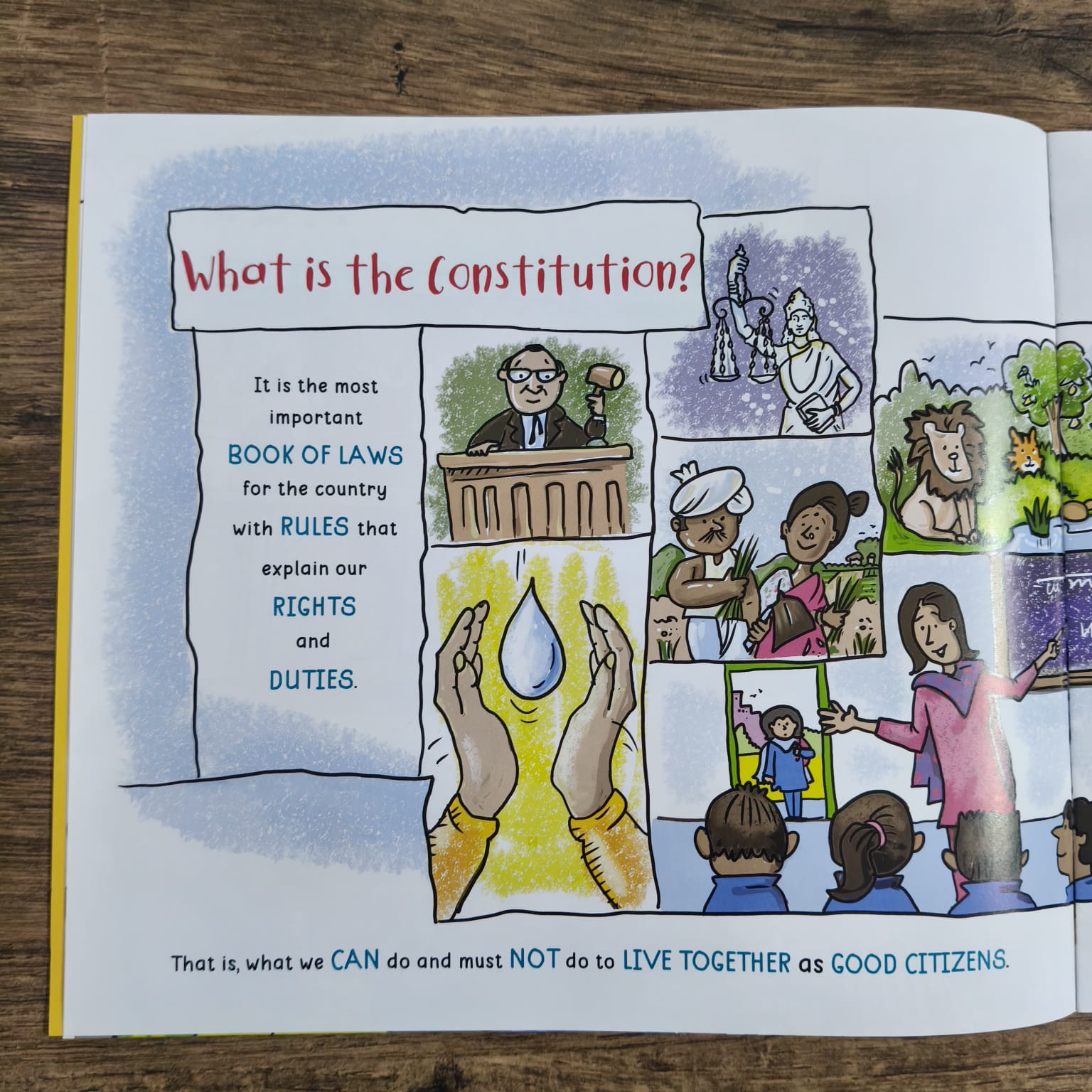 5 Fantastic facts about The Indian Constitution - Picture Book