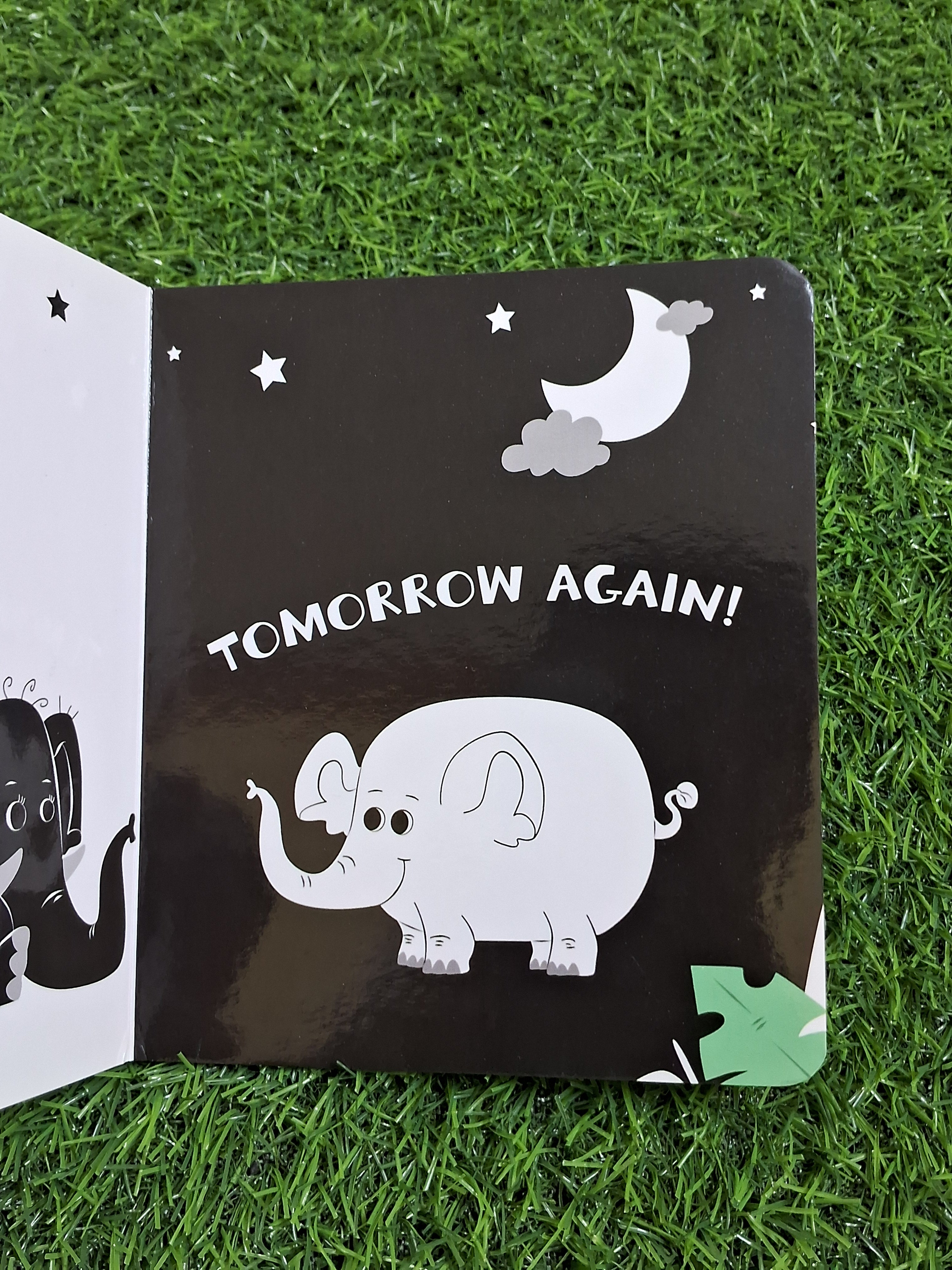 Animals High Contrast Board Book