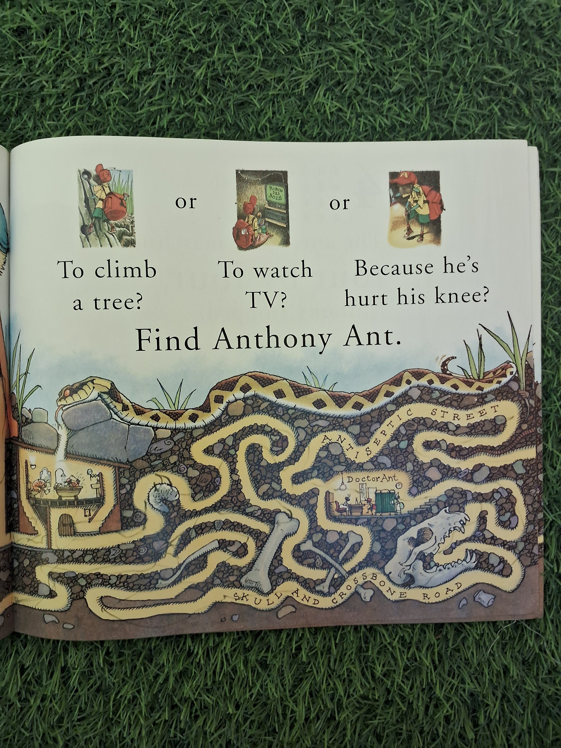 FIND ANTHONY ANT - Excellent Condition Paperback