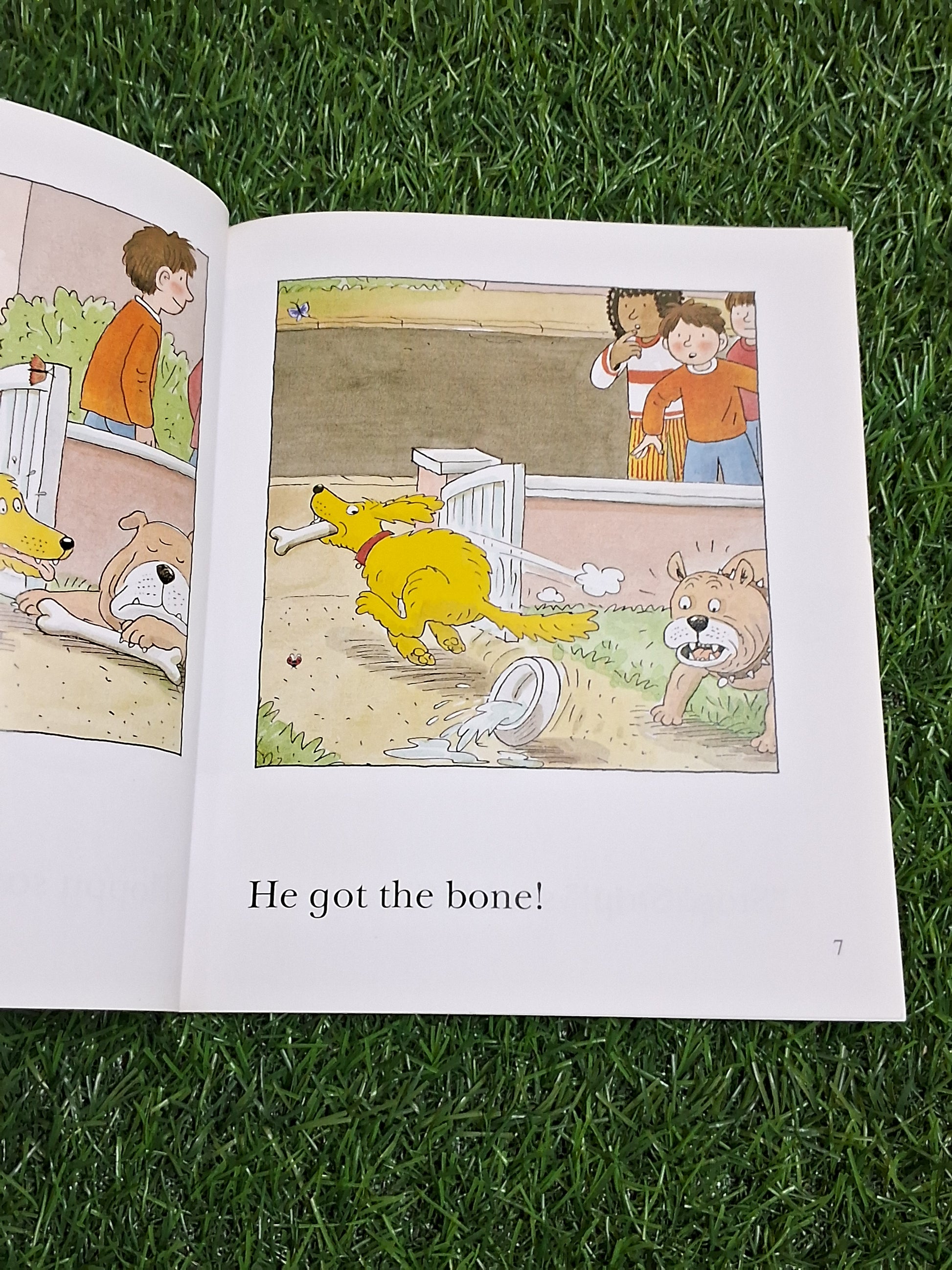 READ WITH BIFF CHIP & KIPPER - FLOPPY AND THE BONE - Excellent Condition Paperback