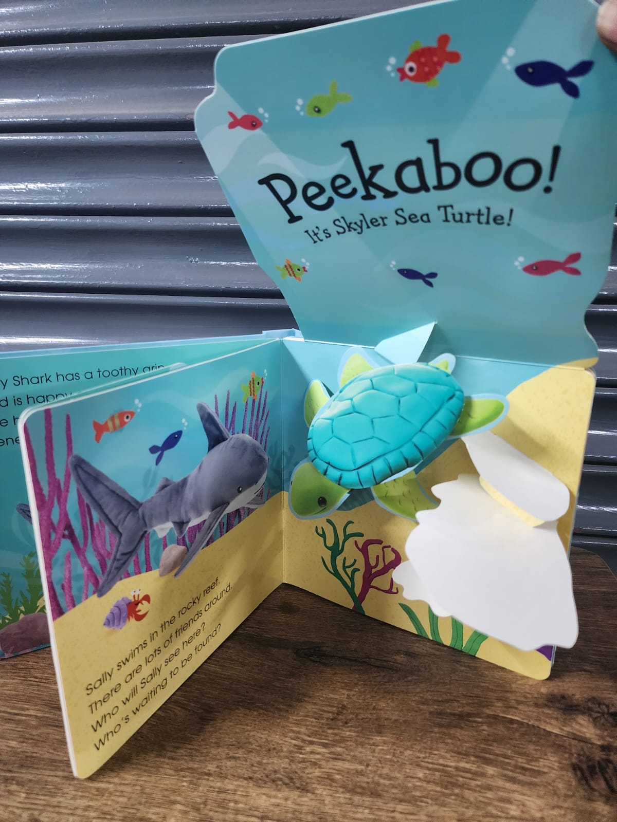 Shark - Popup Peekaboo