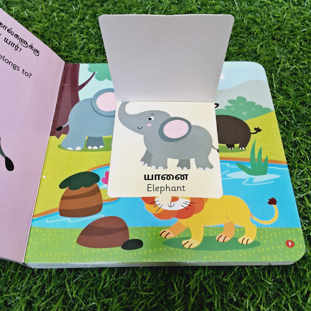 என்னை கண்டுபிடியுங்கள் - To Whom These Belong - English/Tamil Flap Book