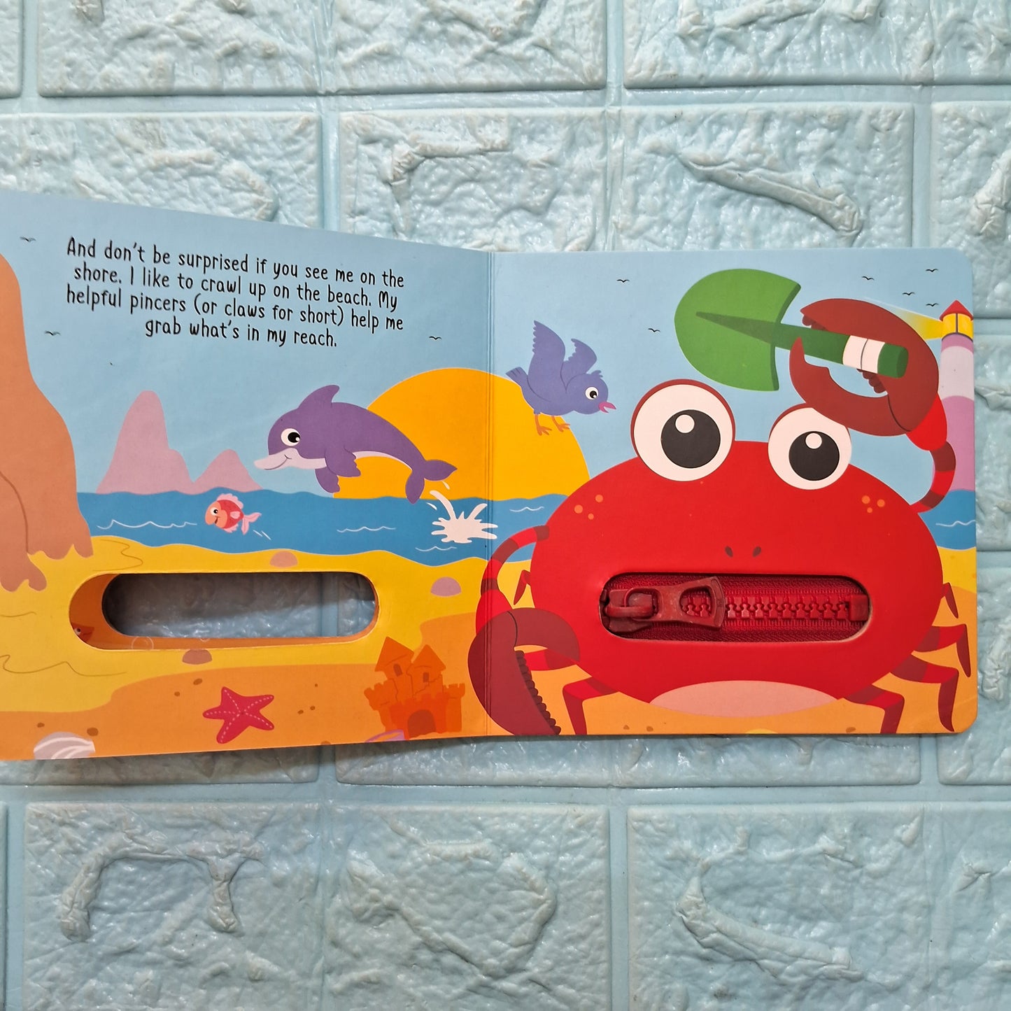 Zip Book - Cranky Crab