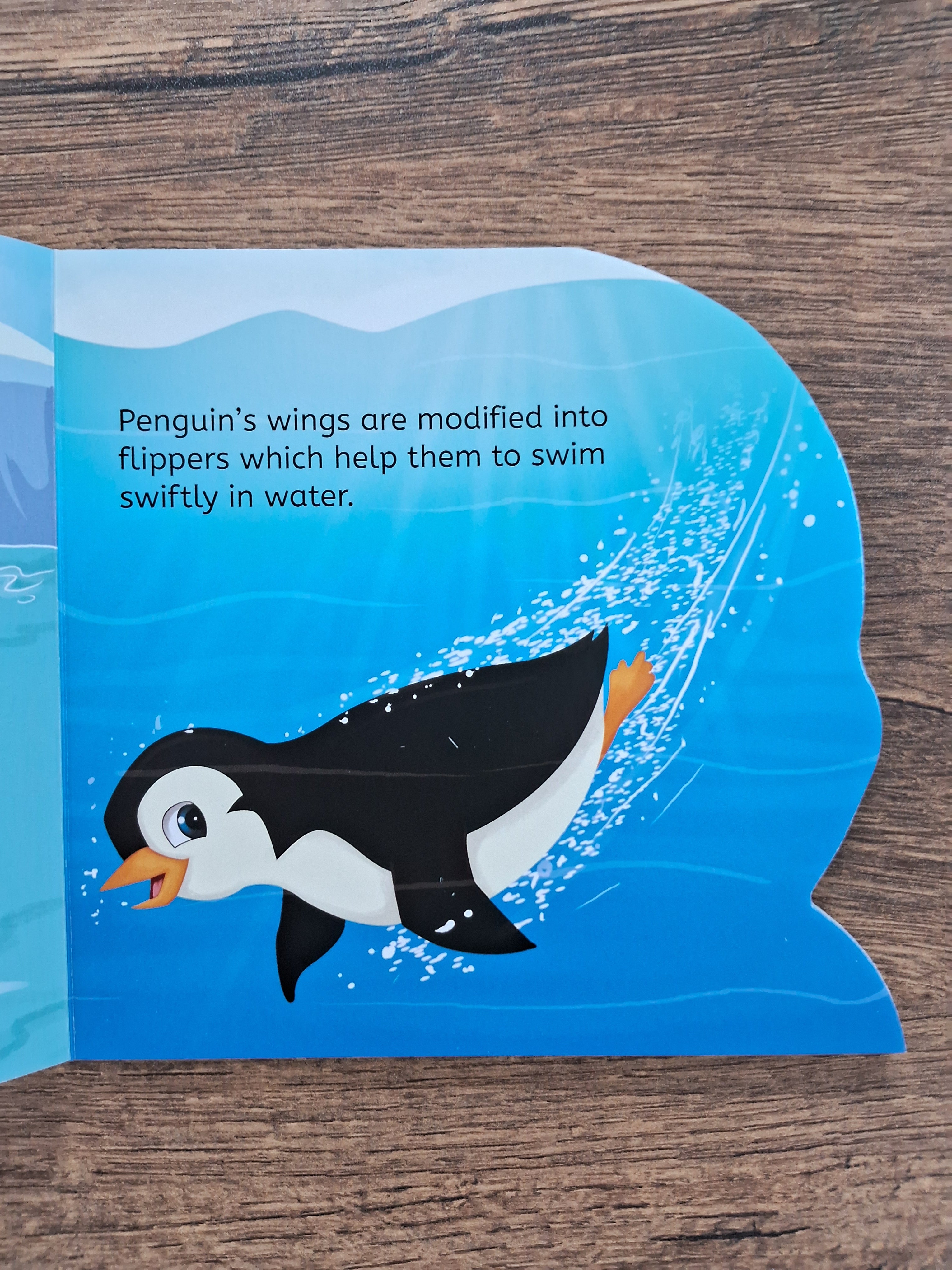 Penguin - Shaped Board Book