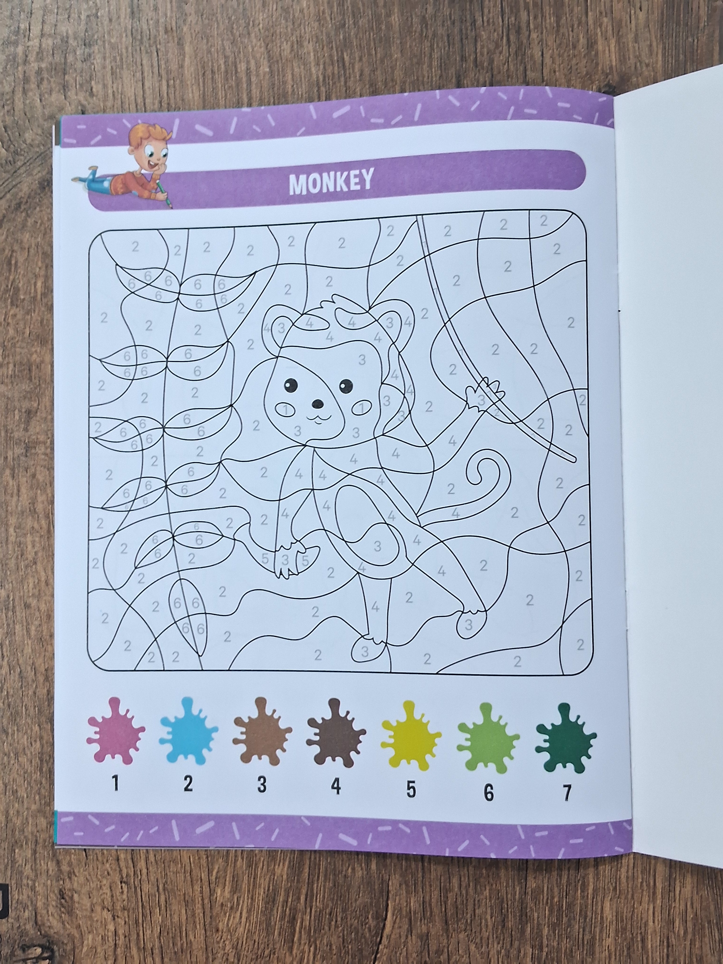 Colour Animals by Numbers - Activity Book