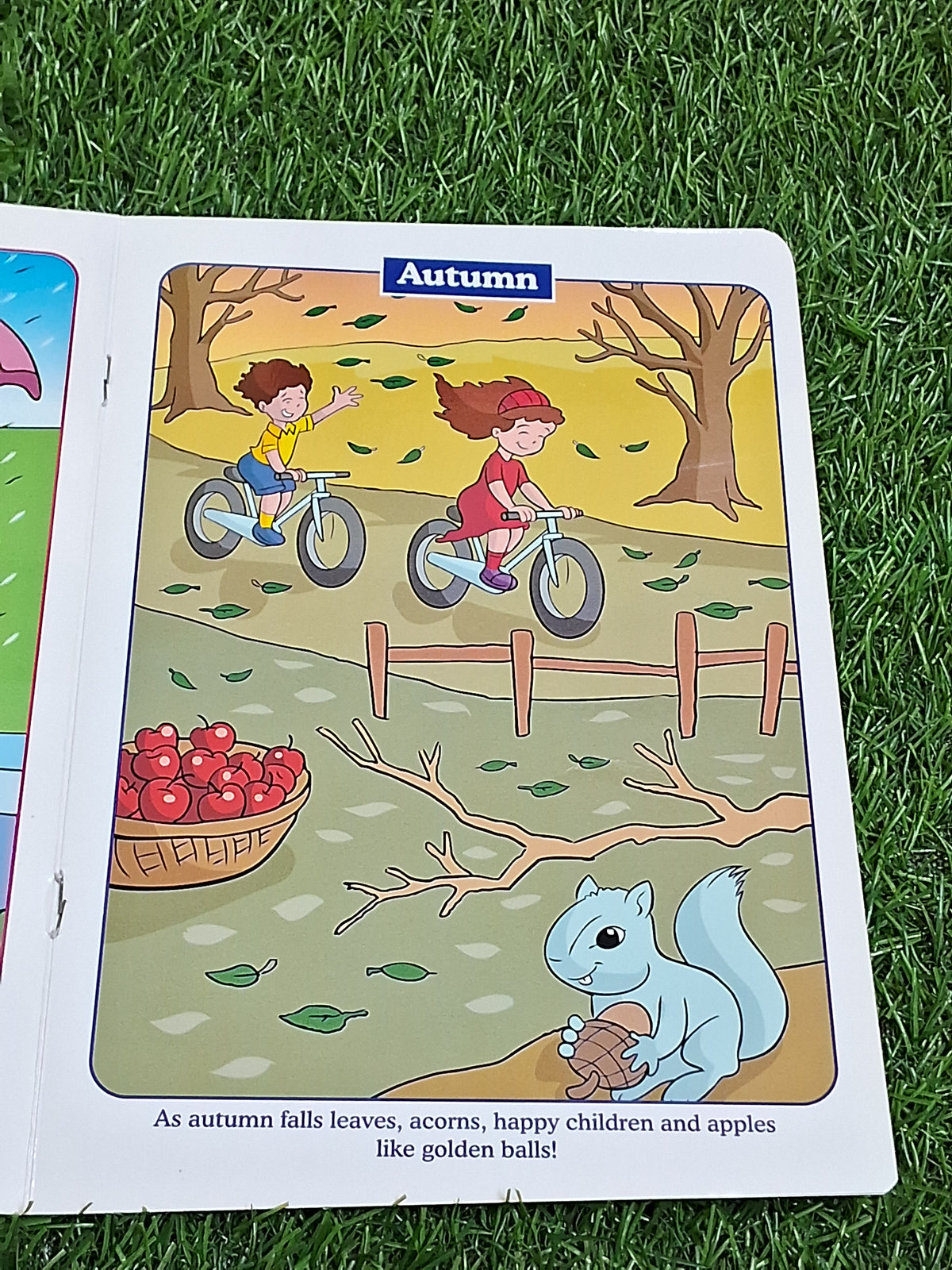 My First Book of Seasons - Laminated