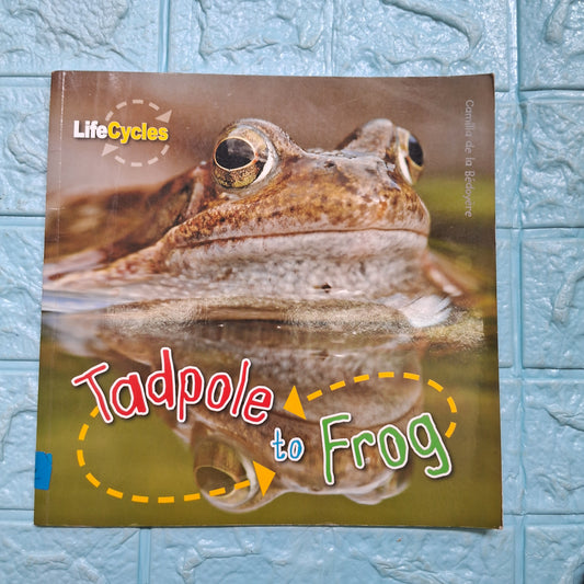 Tadpole to Frog - Very Good Condition Paperback