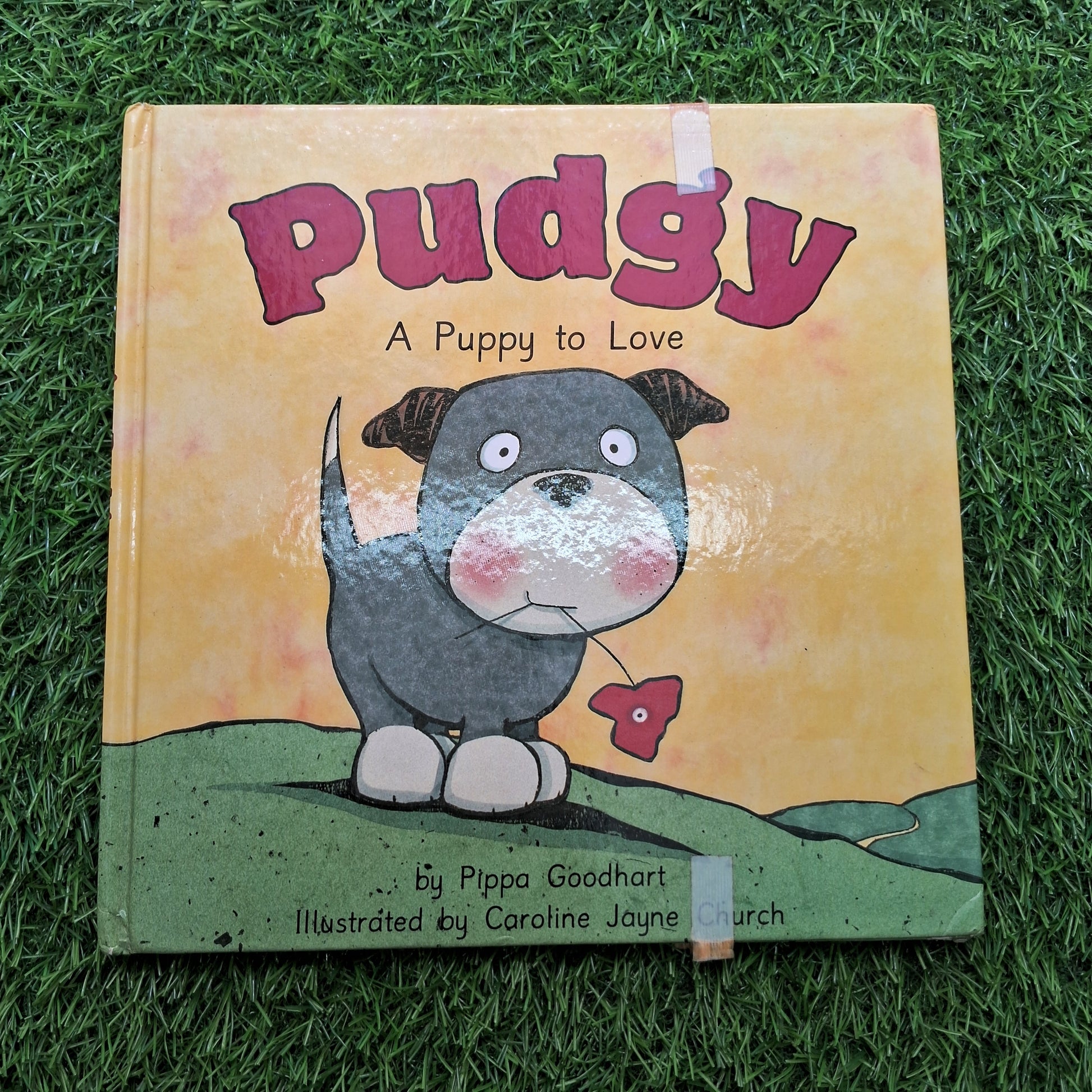 Pudgy - Good Condition Hardcover